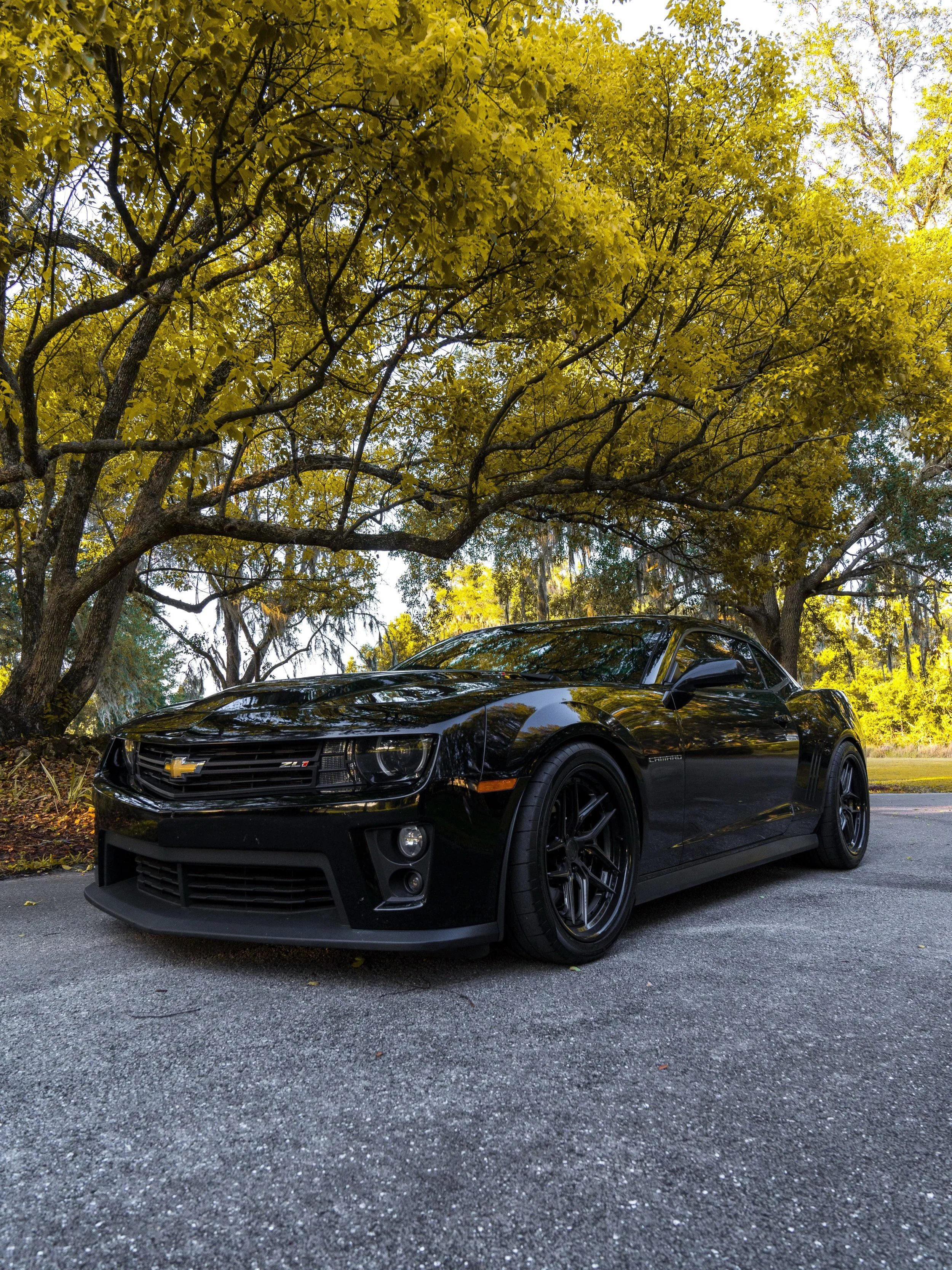 Zack&rsquo;s 5th Gen Camaro ZL1 on 41 Forged custom 20&rdquo; wheels 

Brushed Black center x Gloss Black lip

Built for those who don&rsquo;t follow trends, they set them

Contact us today for a quote!! 

💻 www.41forged.com