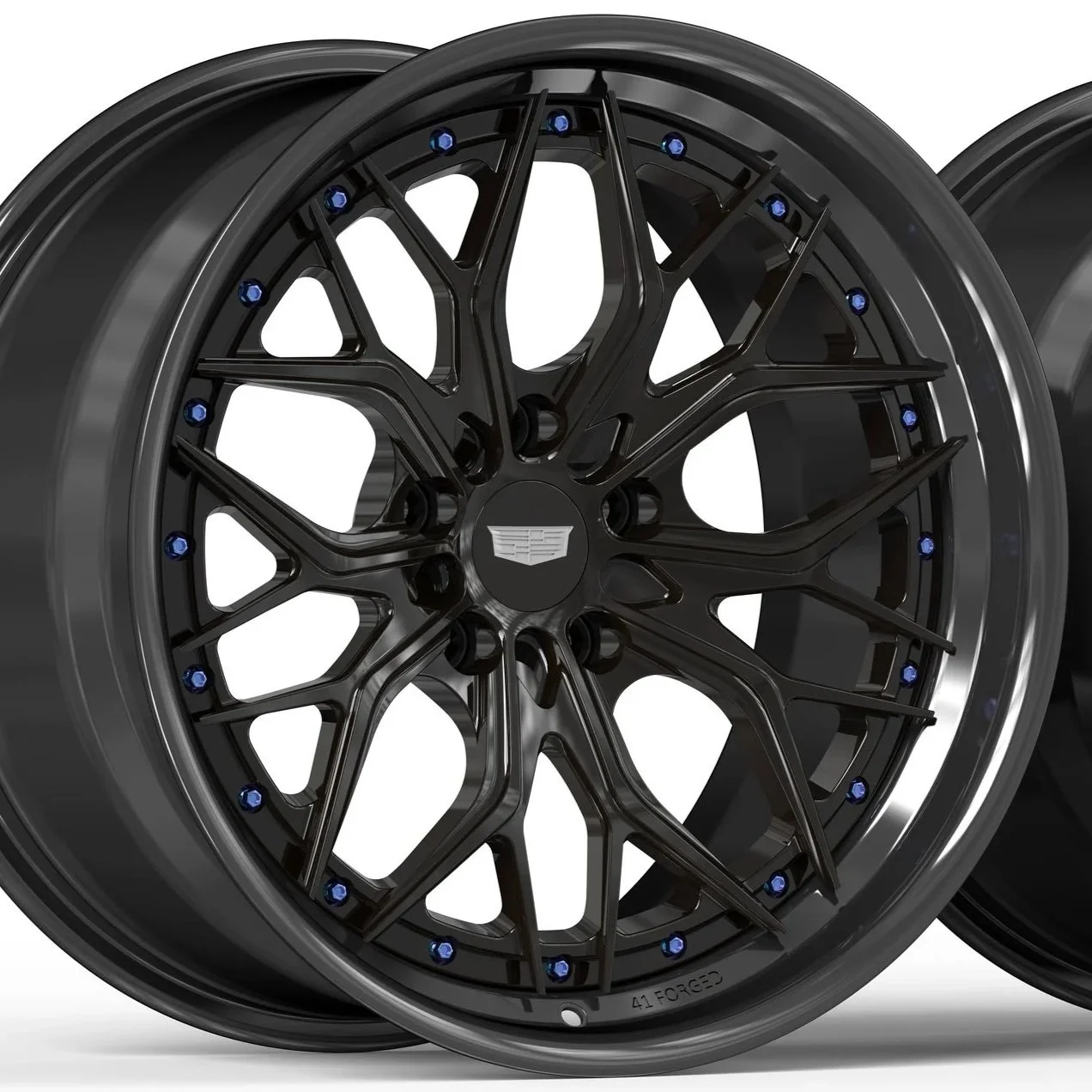 41FORGED-CT5-02.jpg