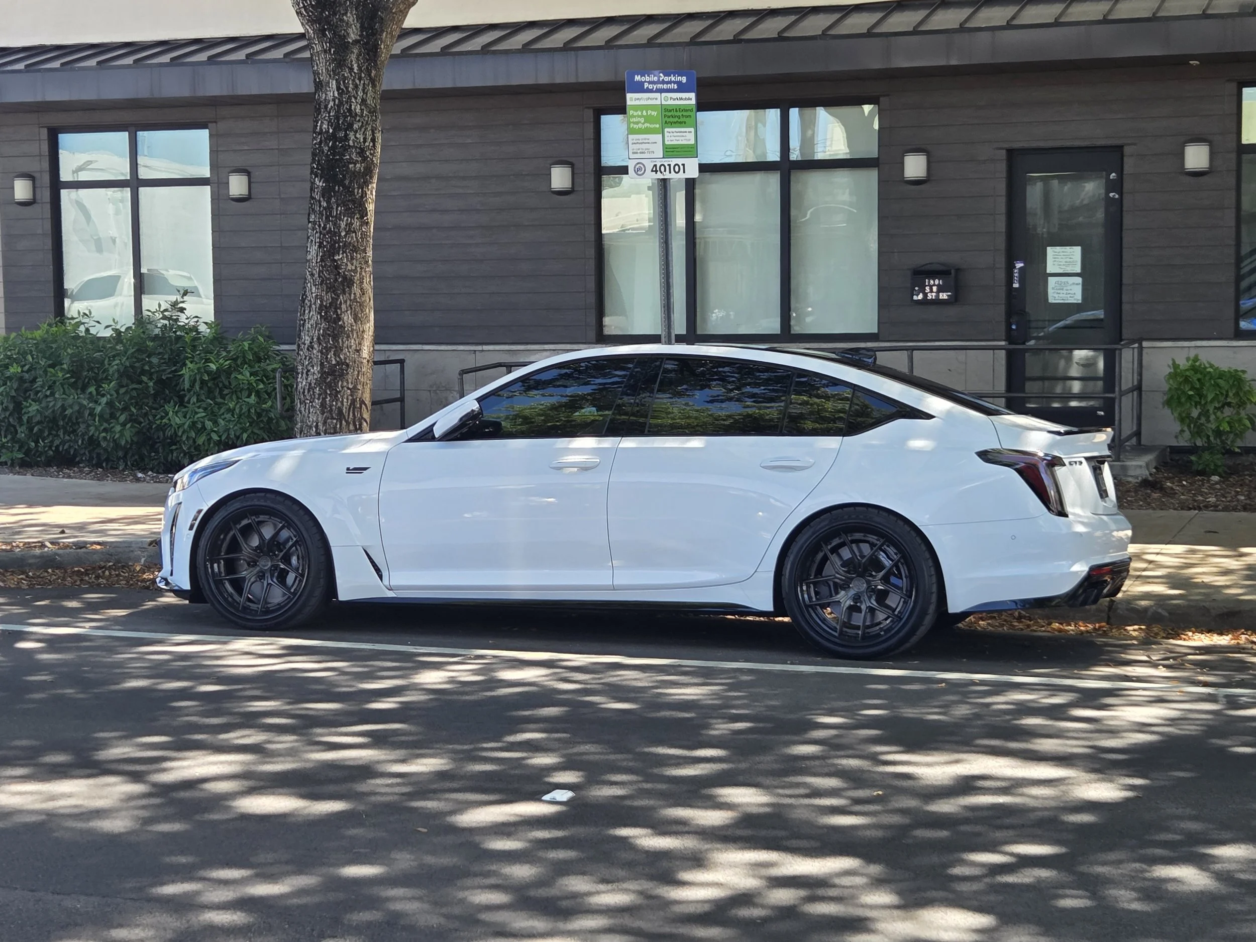 CT5 20IN SS-100 -4.jpg