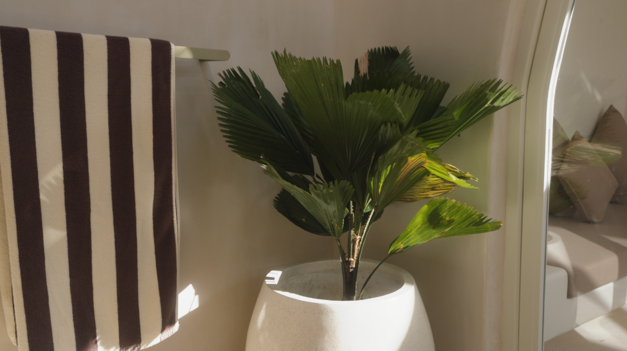 Screenshot 2025-09-01 at 16.57.39.png