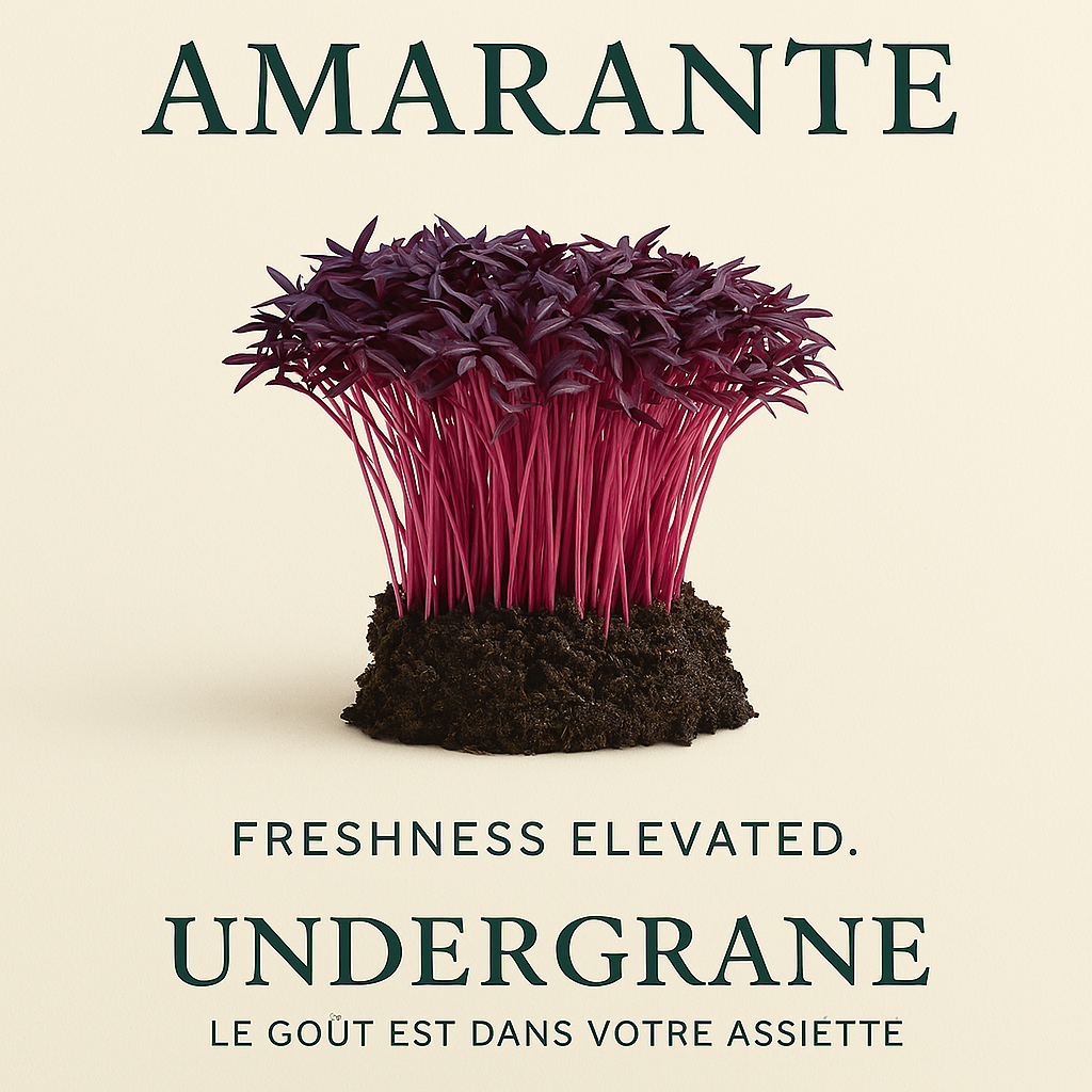 Amarante