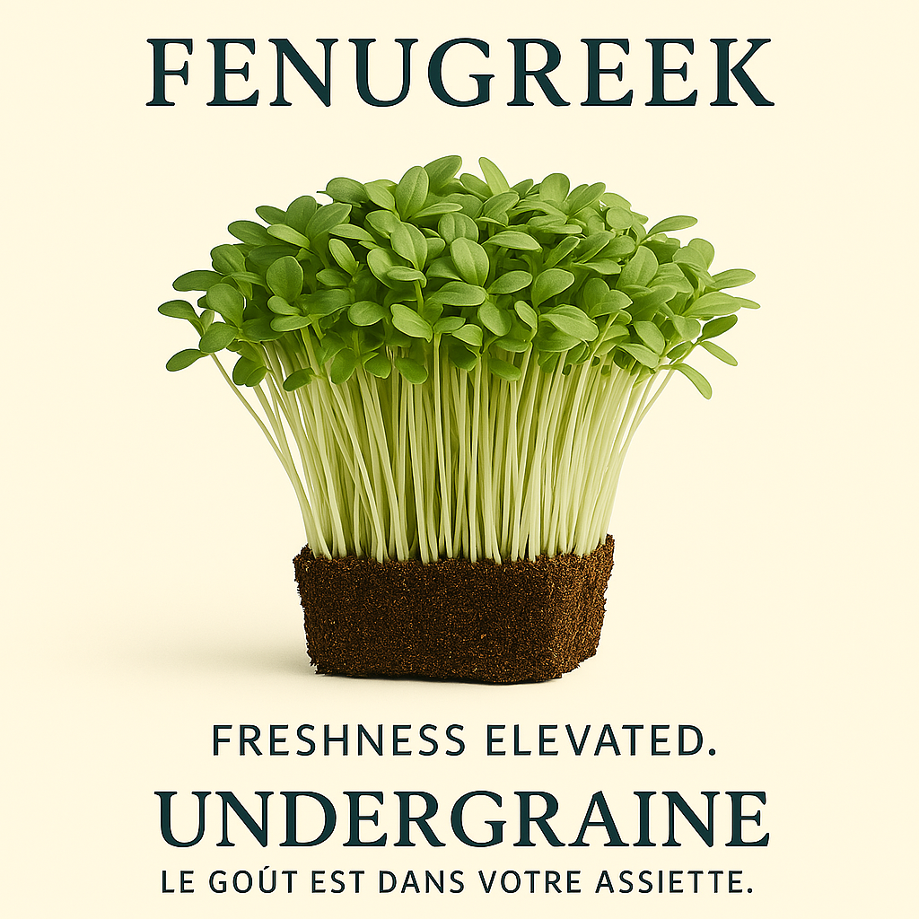 Fenugreek