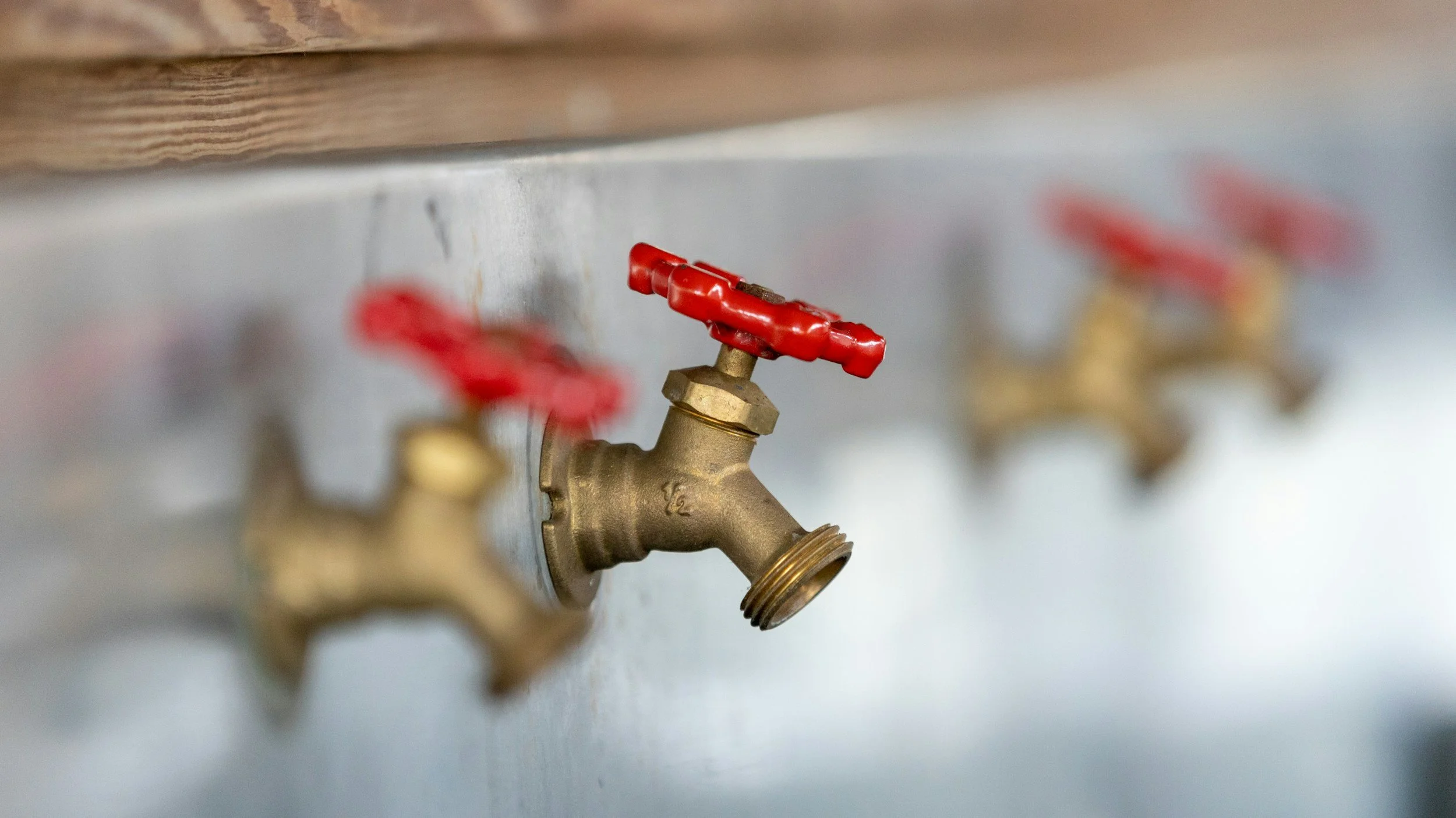 Close-up of brass water faucets with red handles mounted on a wall.