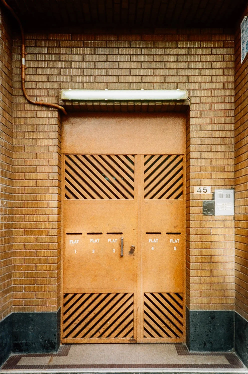 Hong Kong Aesthetic-53.jpg