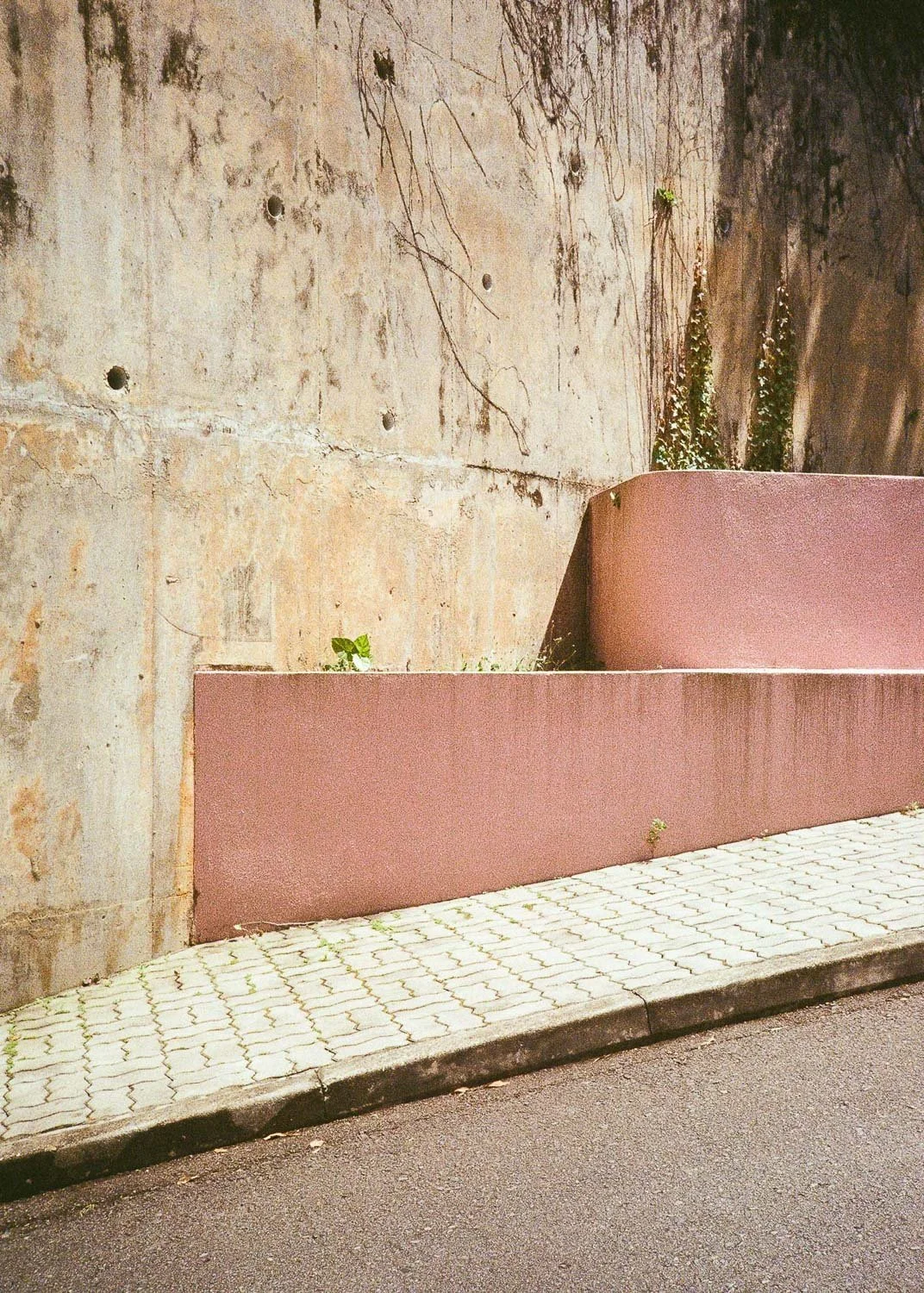 Hong Kong Aesthetic-37.jpg