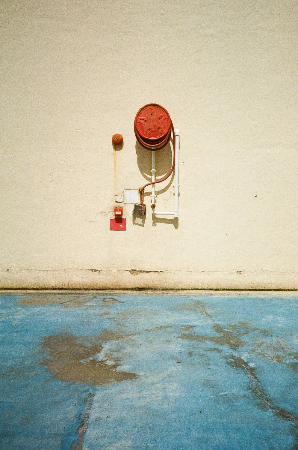 Hong Kong Aesthetic-6.jpg