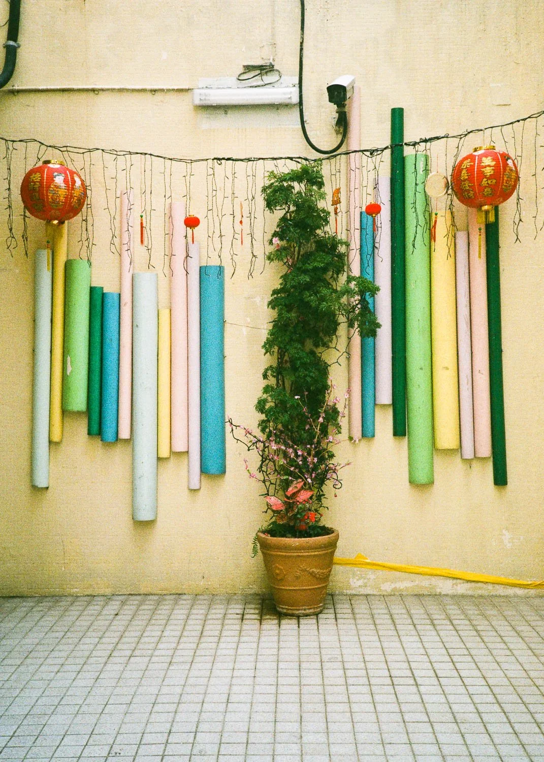 Hong Kong Aesthetic-65.jpg