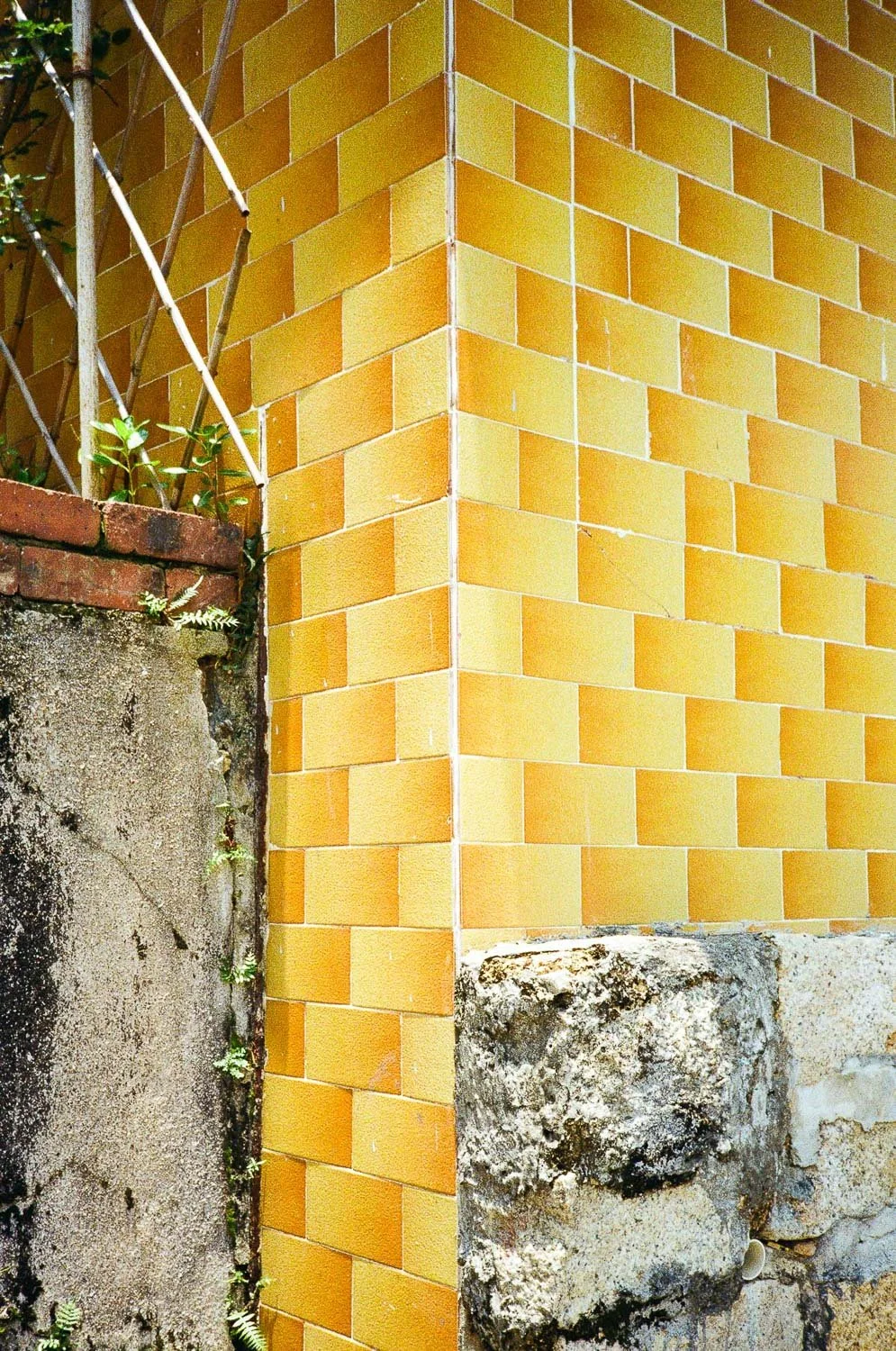 Hong Kong Aesthetic-20.jpg