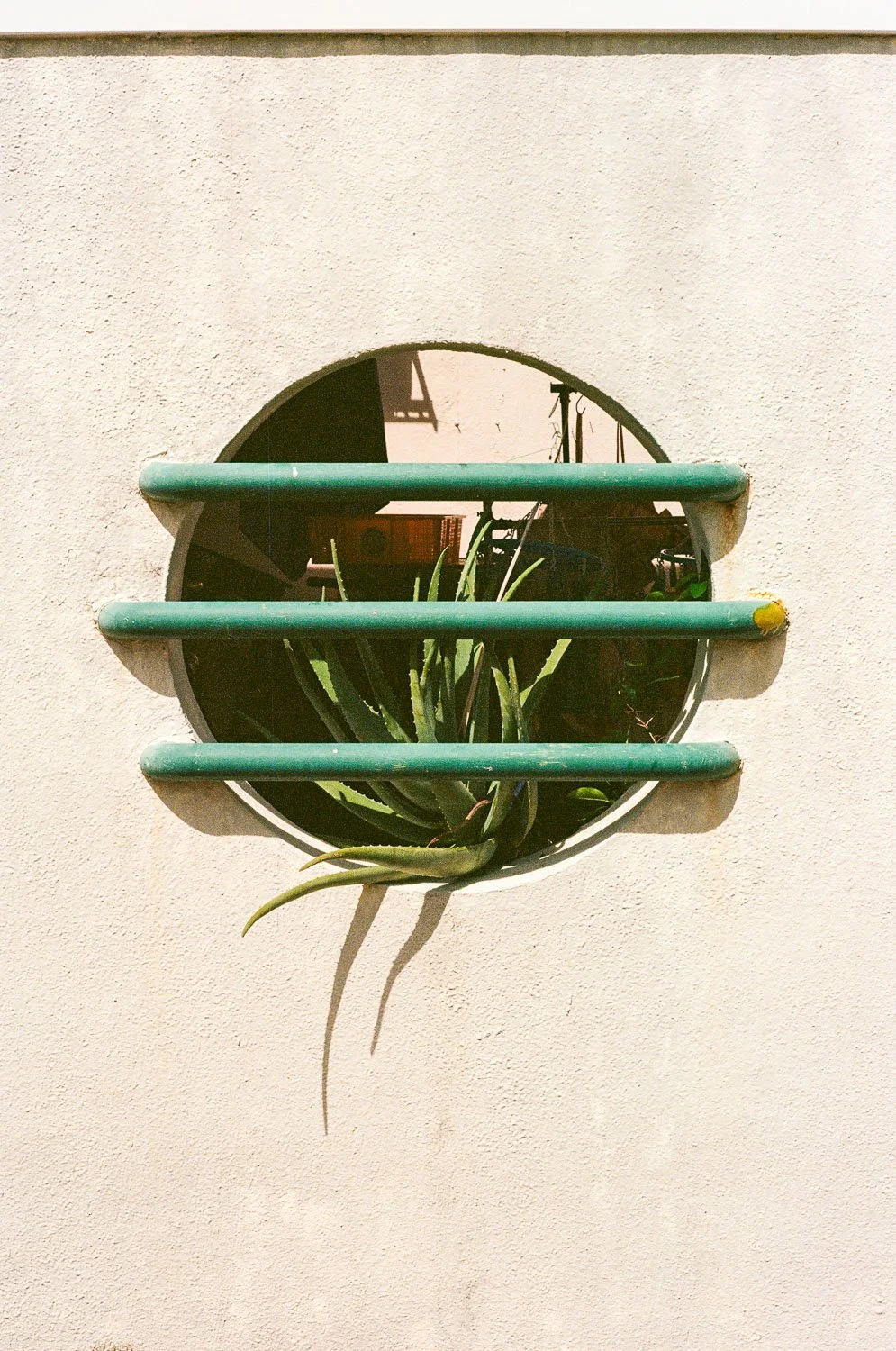 Hong Kong Aesthetic-71.jpg