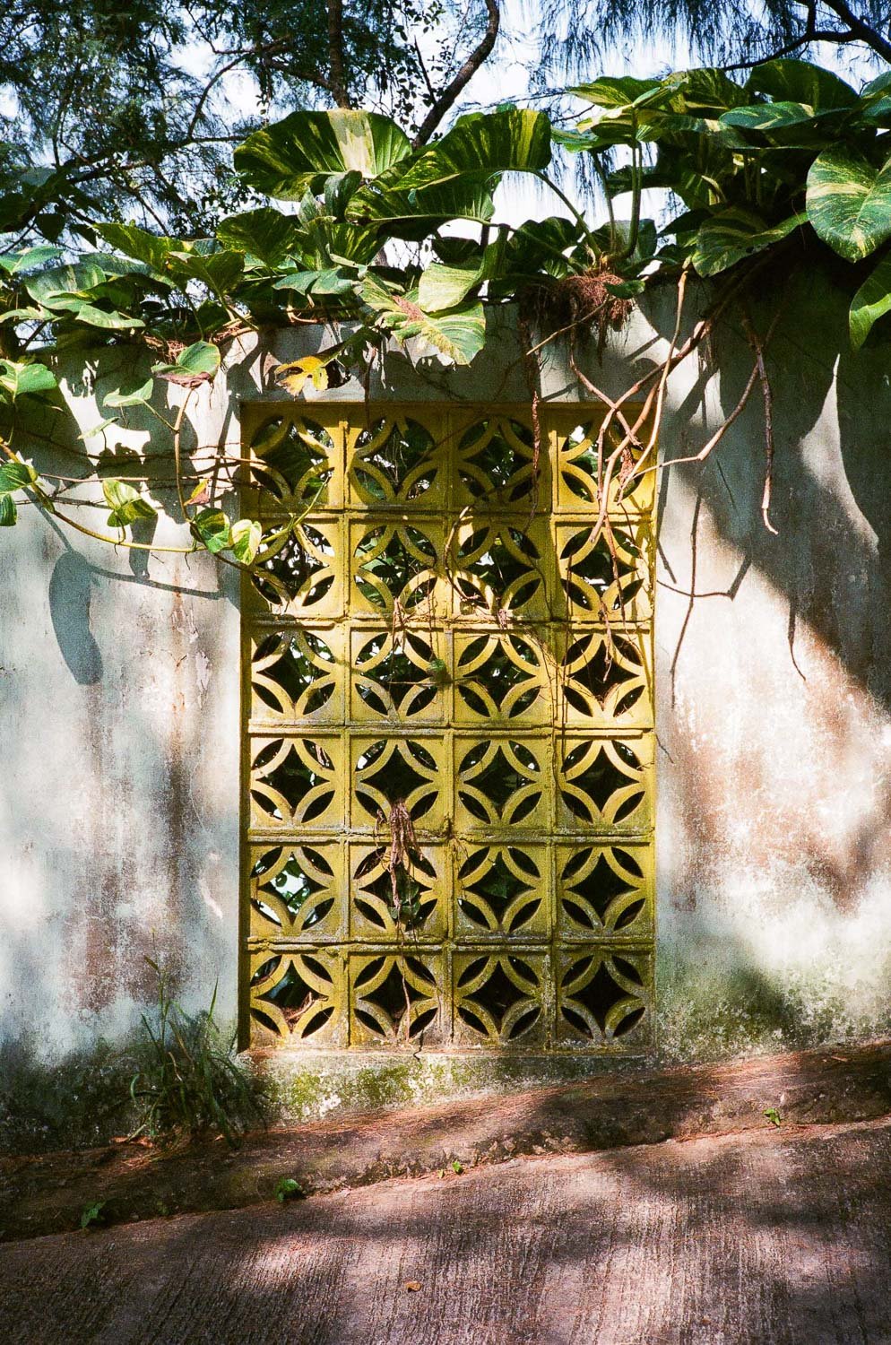 Hong Kong Aesthetic-36.jpg