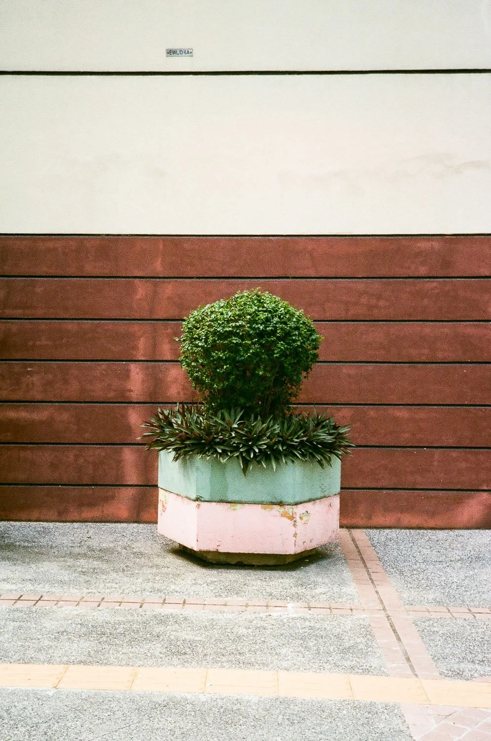 Hong Kong Aesthetic-5.jpg