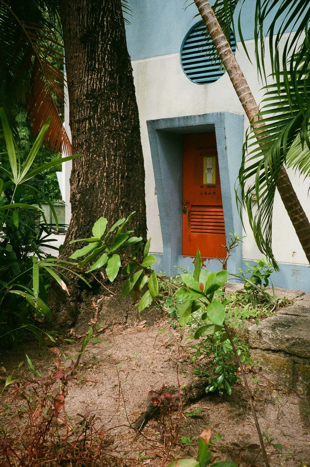 Hong Kong Aesthetic-2.jpg