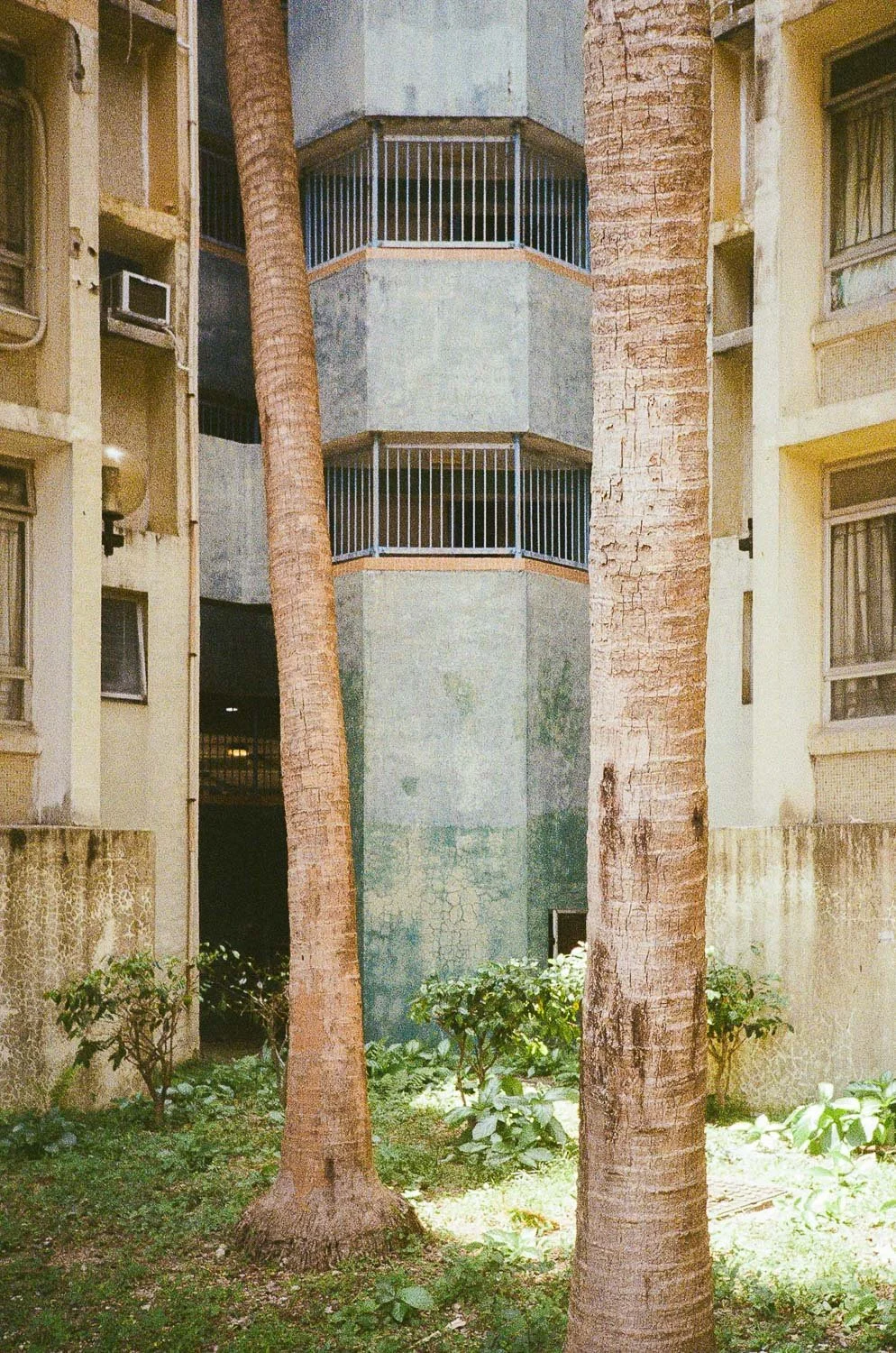 Hong Kong Aesthetic-41.jpg