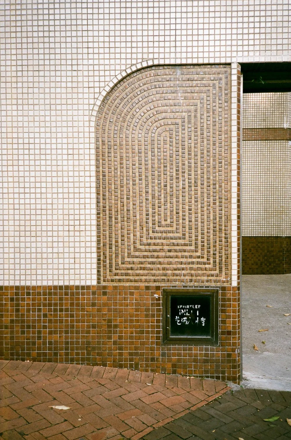 Hong Kong Aesthetic-3.jpg