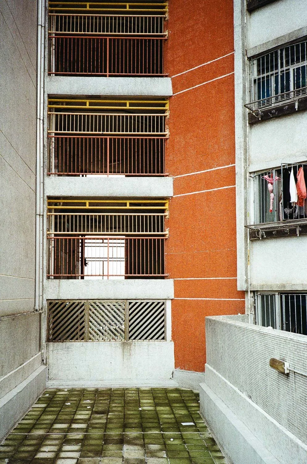 Hong Kong Aesthetic-4.jpg