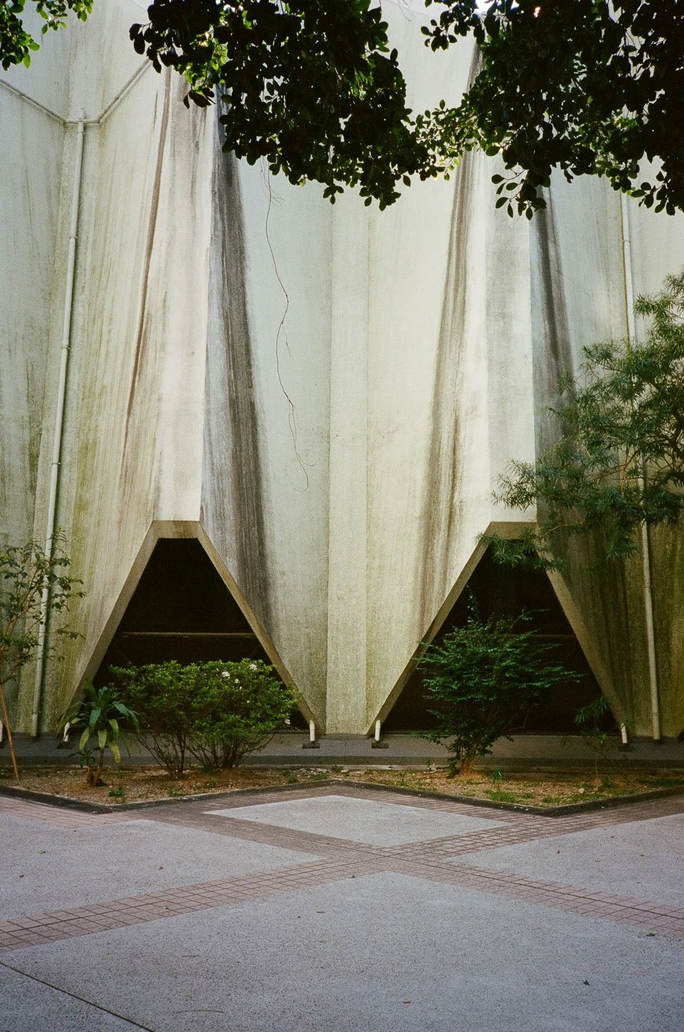 Hong Kong Aesthetic-62.jpg