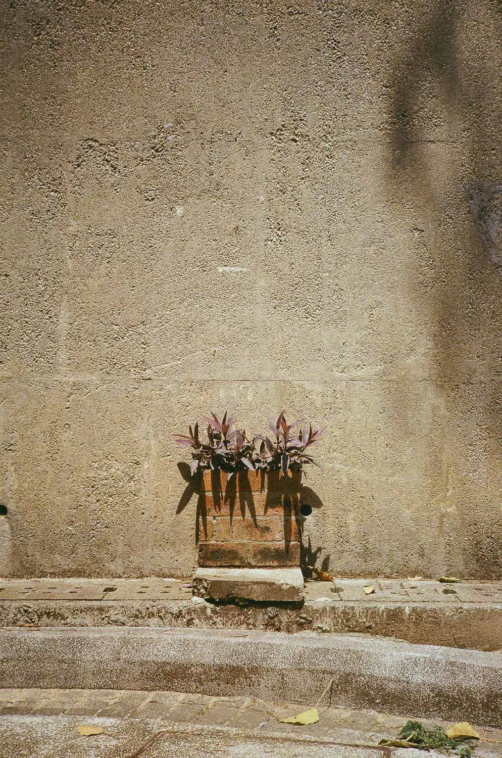 Hong Kong Aesthetic-42.jpg