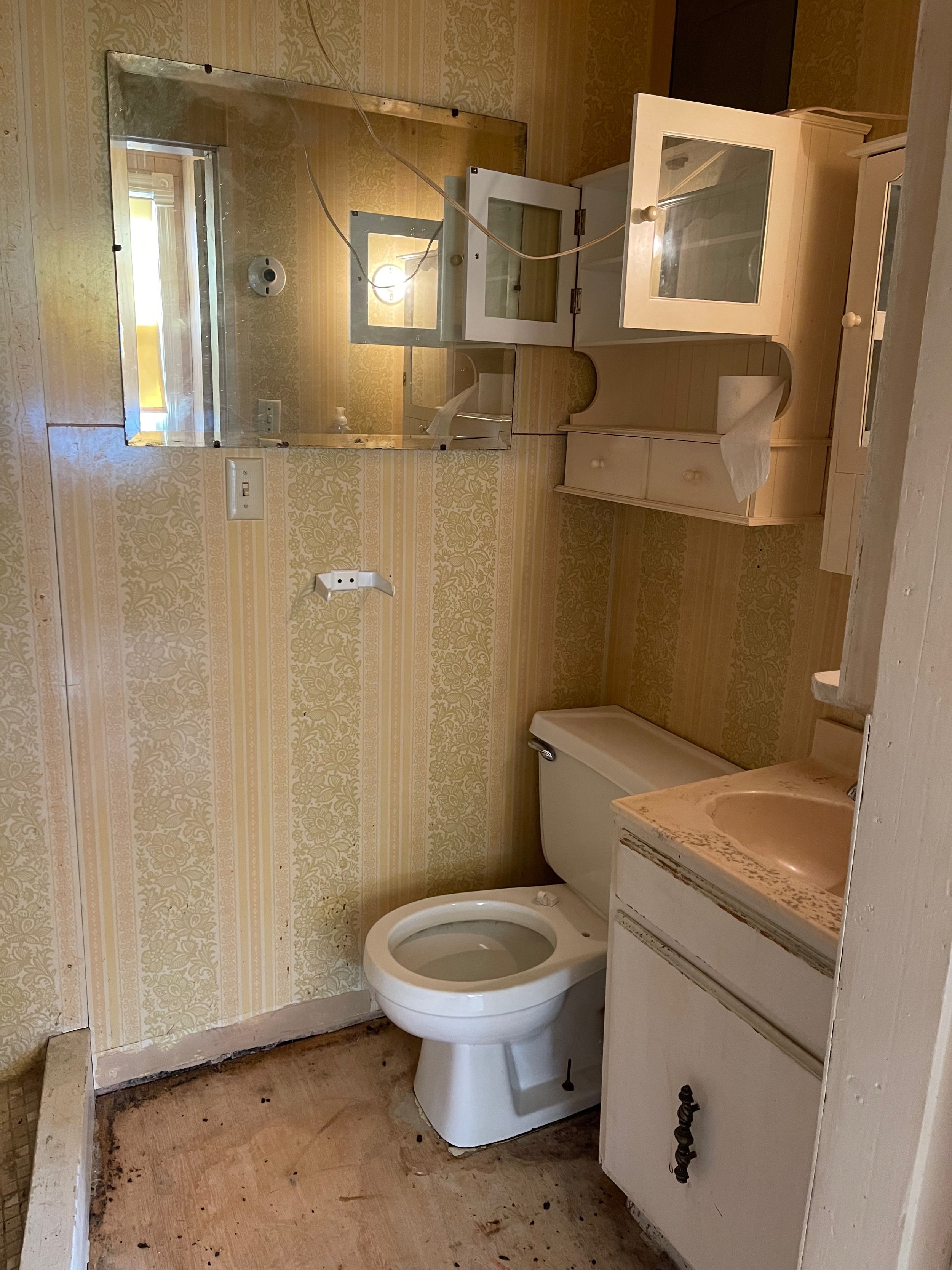 Before-Main floor bathroom