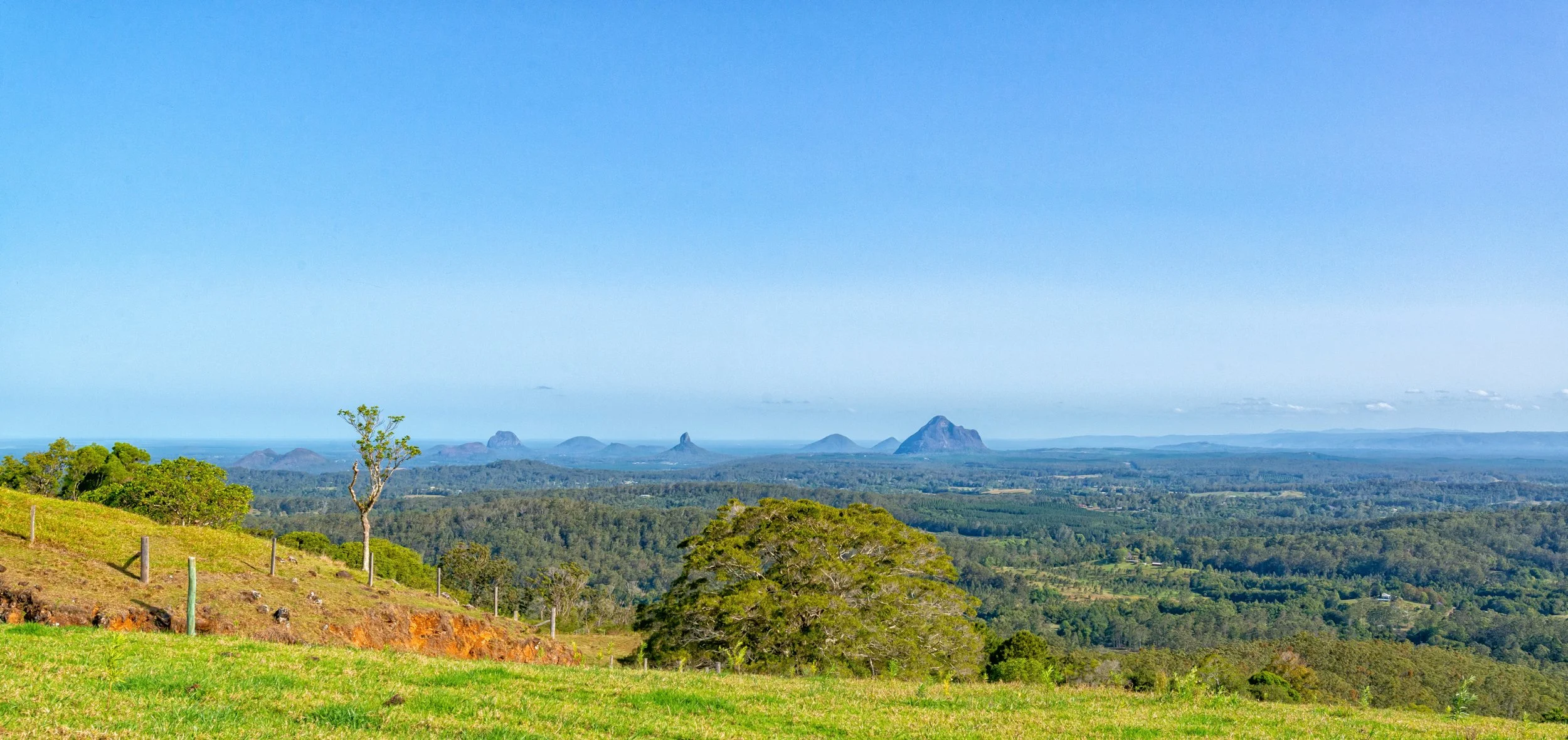 Scenic view of a lush green landscape with rolling hills, scattered trees, and distant mountains under a clear blue sky.