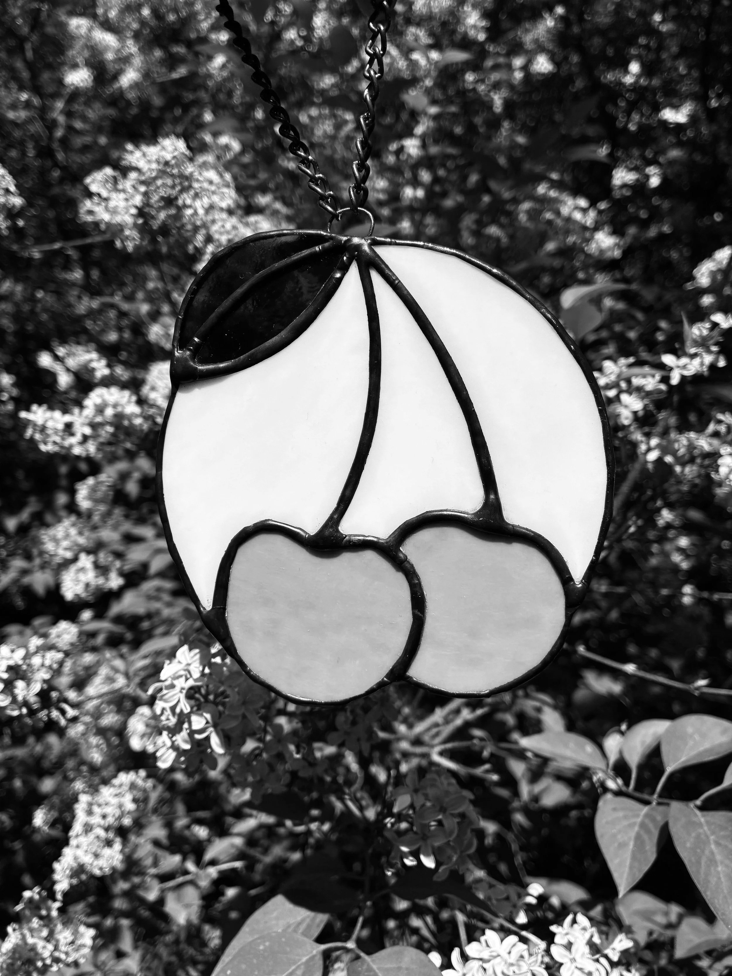 white with lilac cherries