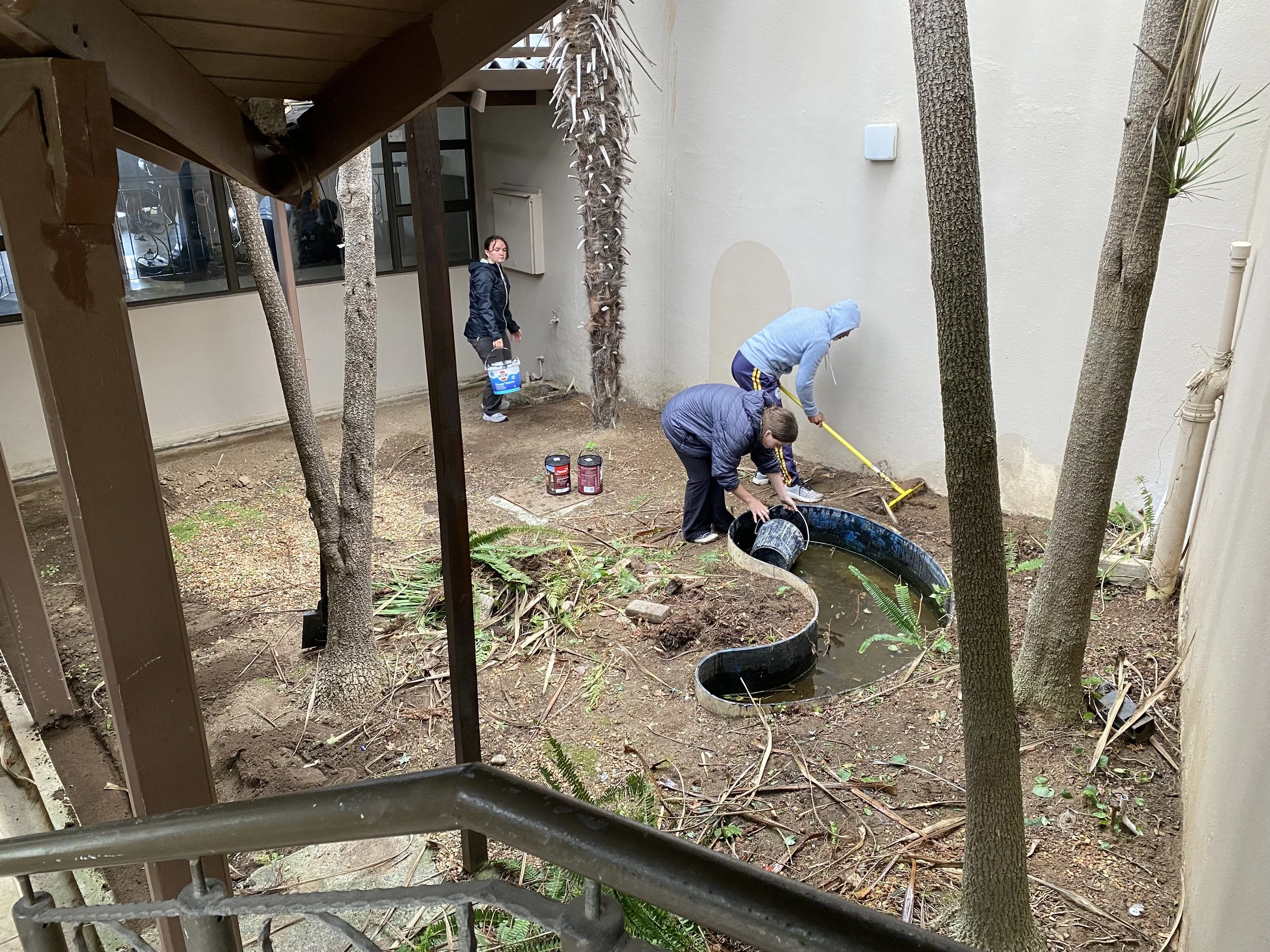 IMG_0085.jpeg