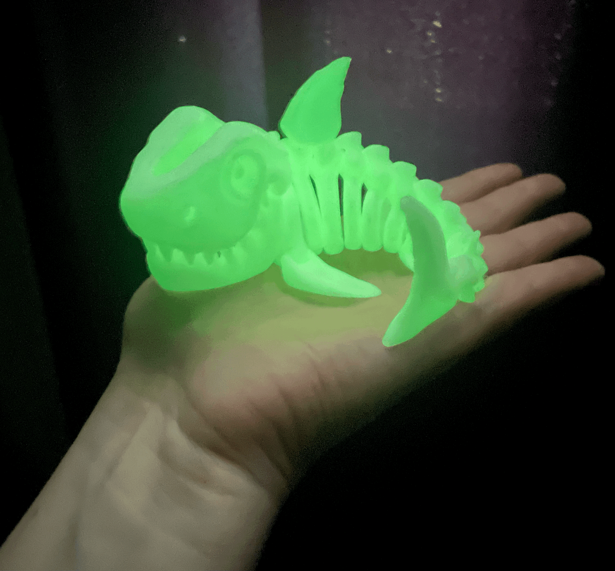 Glow Skelton Shark