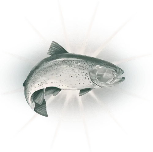 Rainbow trout on a bed of ice with white rays radiating outward.