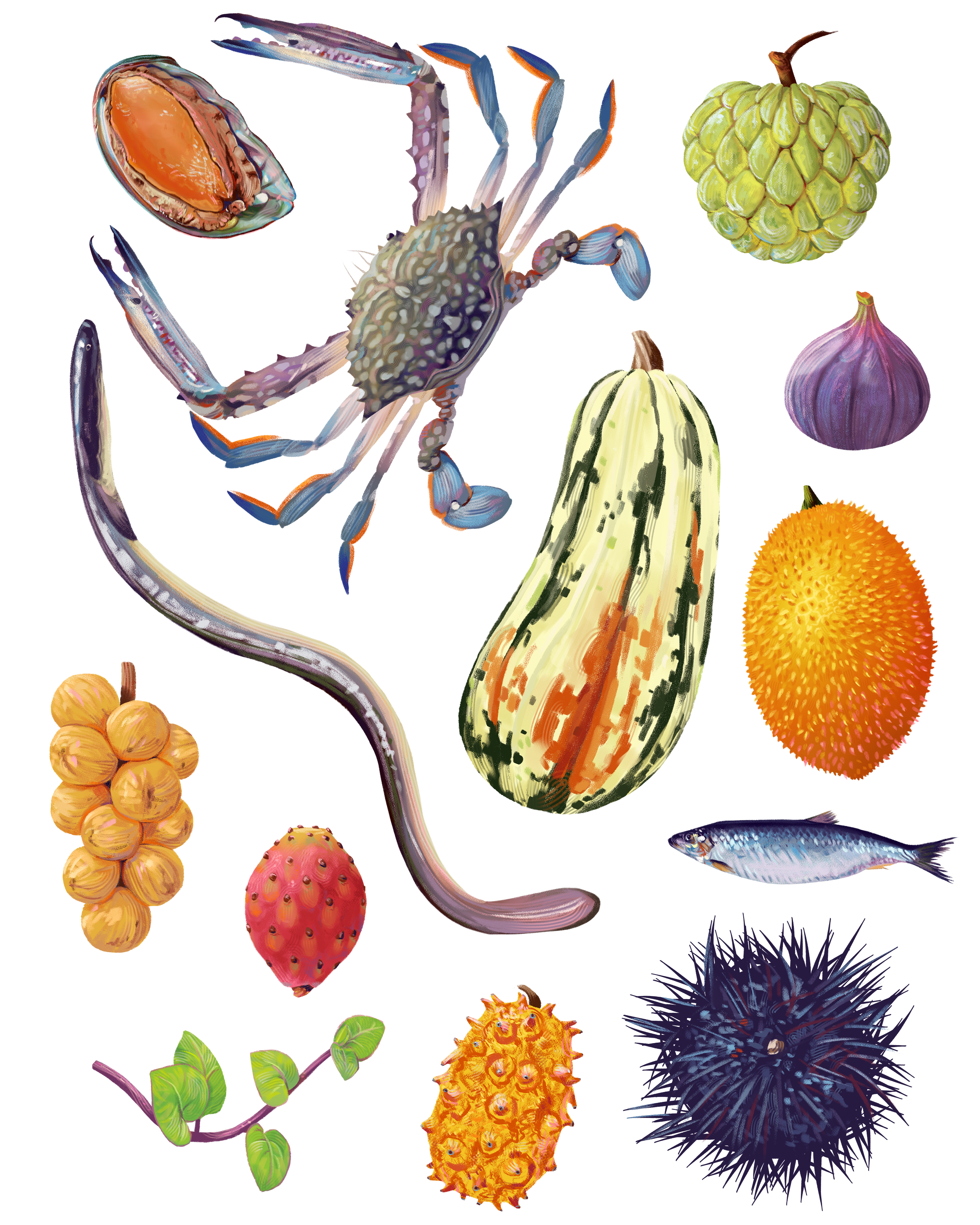 A collage of various fruits, vegetables, seafood, and a crab, including a lime, purple onion, orange prickly fruit, striped squash, bunch of golden berries, red strawberry, spiky black ball, fish, eel, and a yellow spiky fruit.