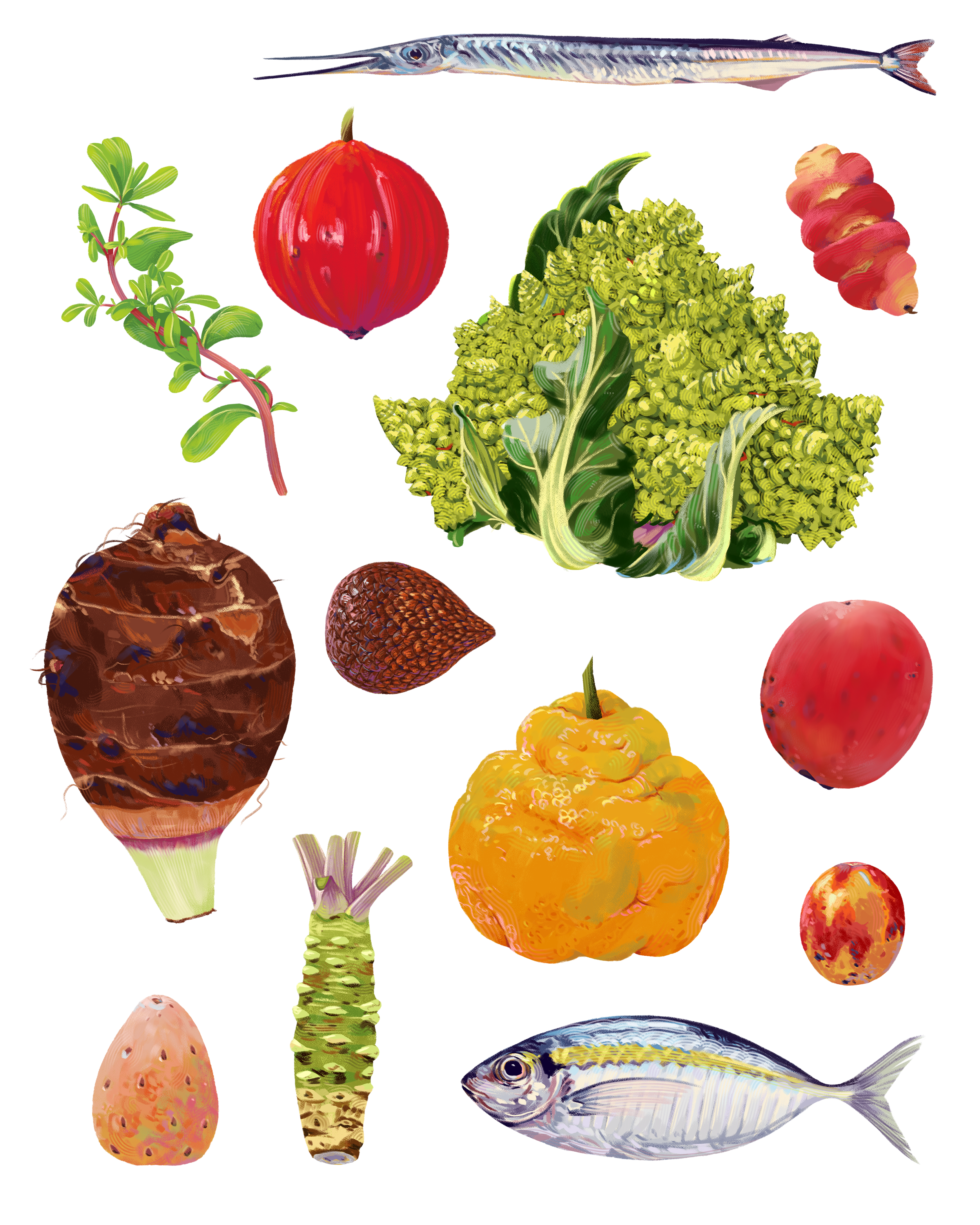 A colorful illustration featuring various foods, including a fish, broccoli, strawberries, an onion, a pineapple, a pumpkin, a tomato, a chile pepper, a root vegetable, a sprig of herbs, and a mushroom.