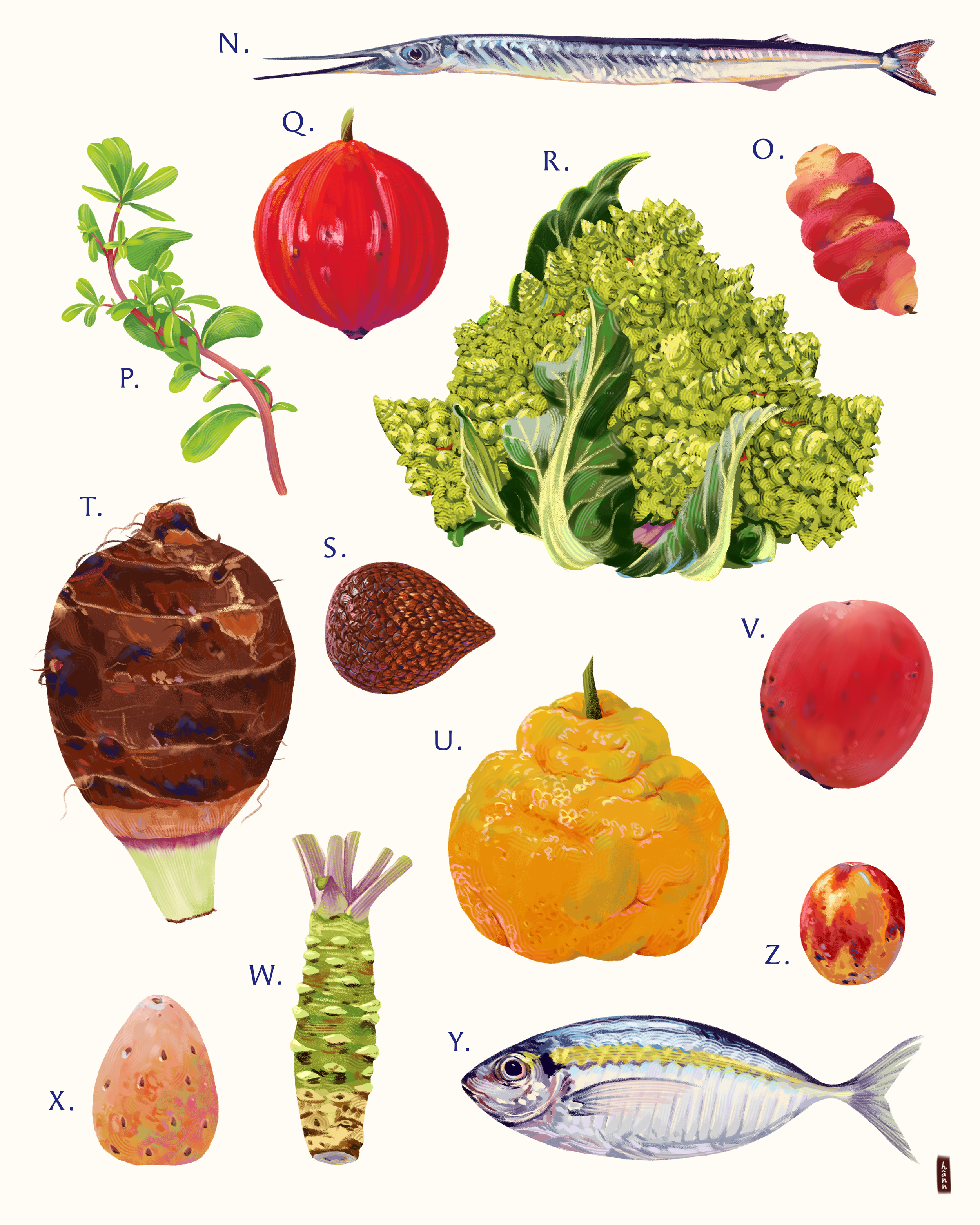 Diagram of various fruits, vegetables, herbs, and seafood labeled with letters, including an oyster mushroom, pine cone, bell pepper, broccoli, onion, turmeric root, raspberry, tomato, strawberry, peach, orange, apple, fish, and other produce.