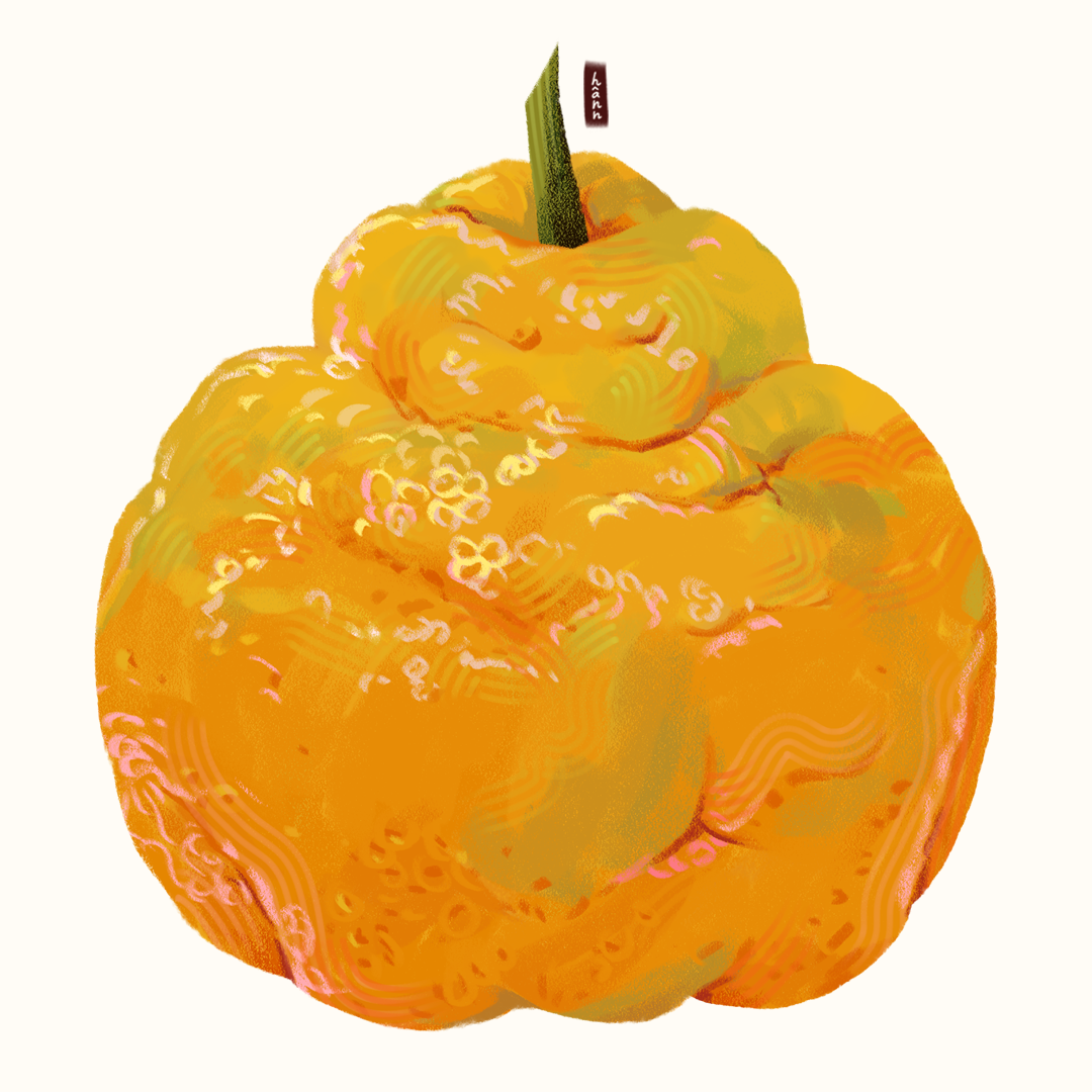 Digital artwork of a yellow-orange pepino melon with a black and green stem on a plain white background.