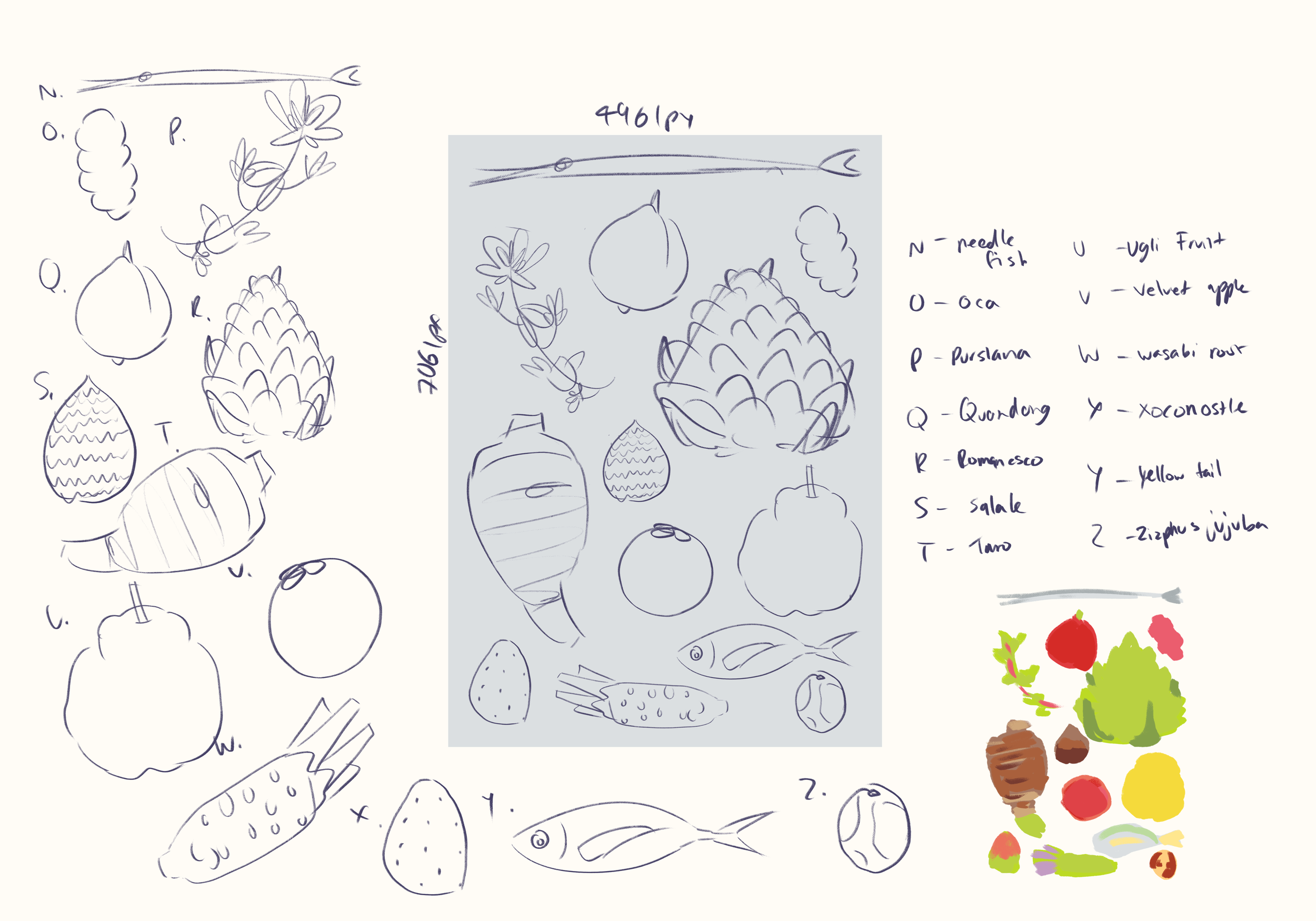 Sketches of various fruits, vegetables, and plants, with handwritten labels and a color illustration of produce on the right side, including tomatoes, lettuce, strawberries, and garlic.