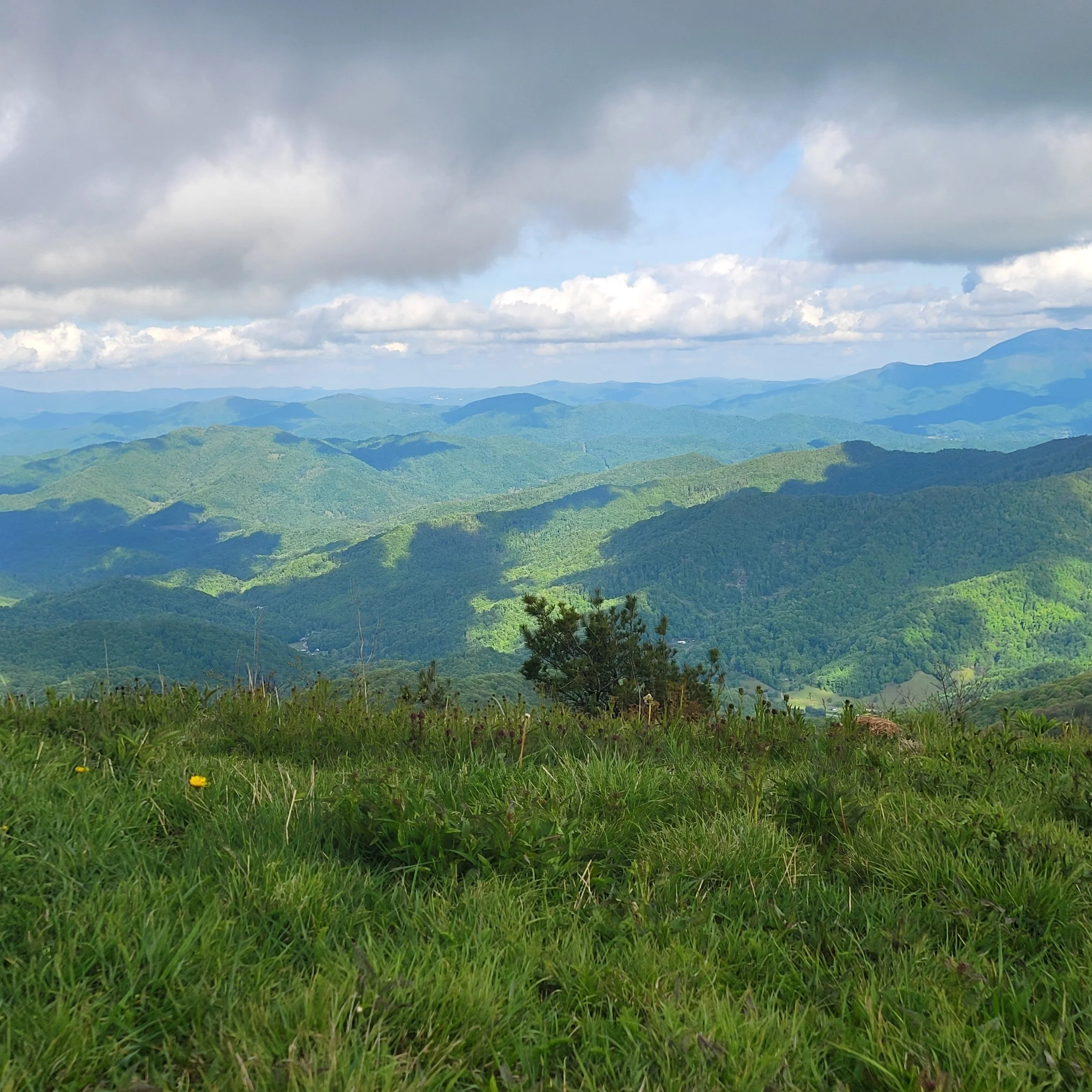 View of green rolling hills under a cloudy sky, with grassy foreground and distant mountain peaks.