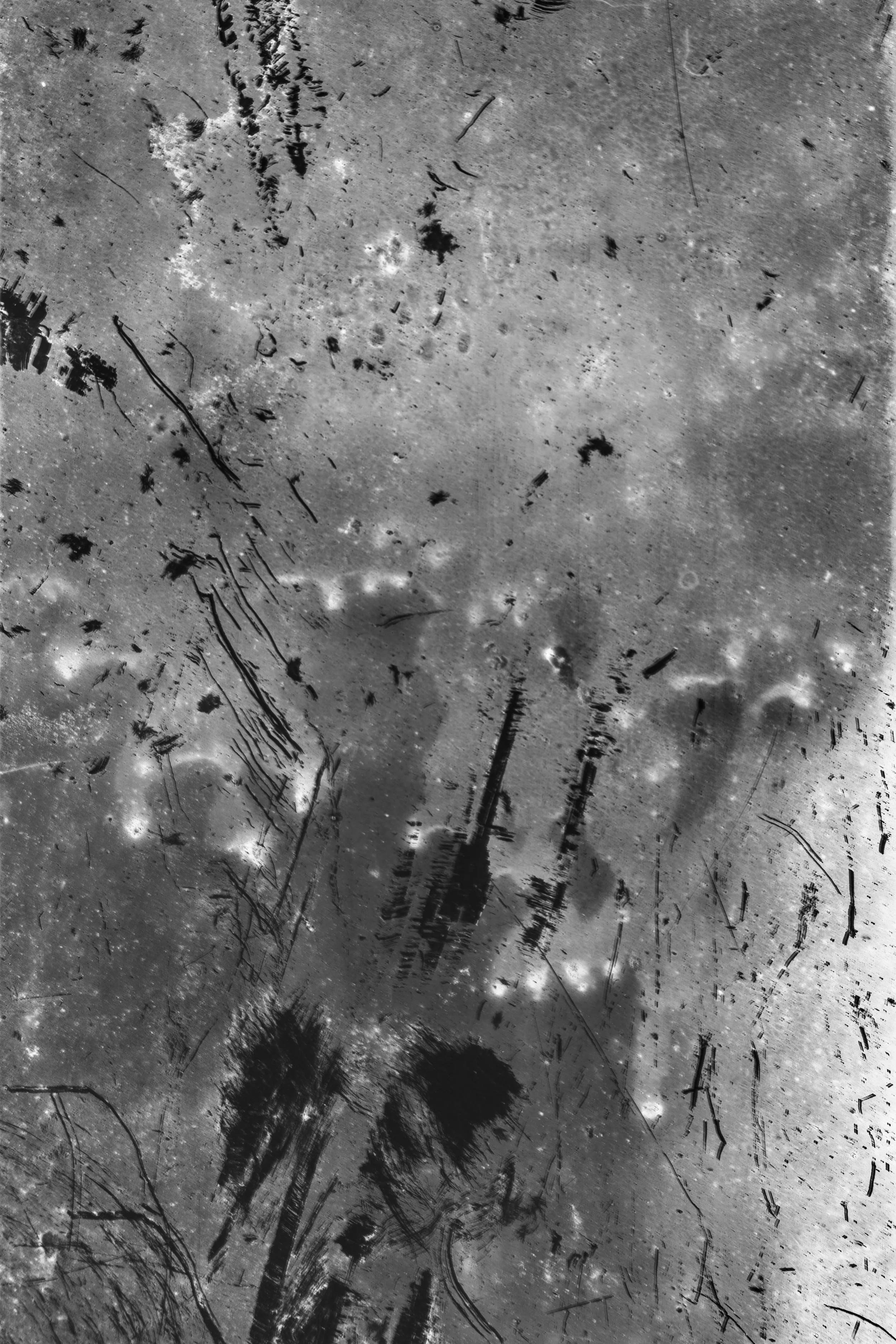 Kopija datoteke DSCF4308.jpg