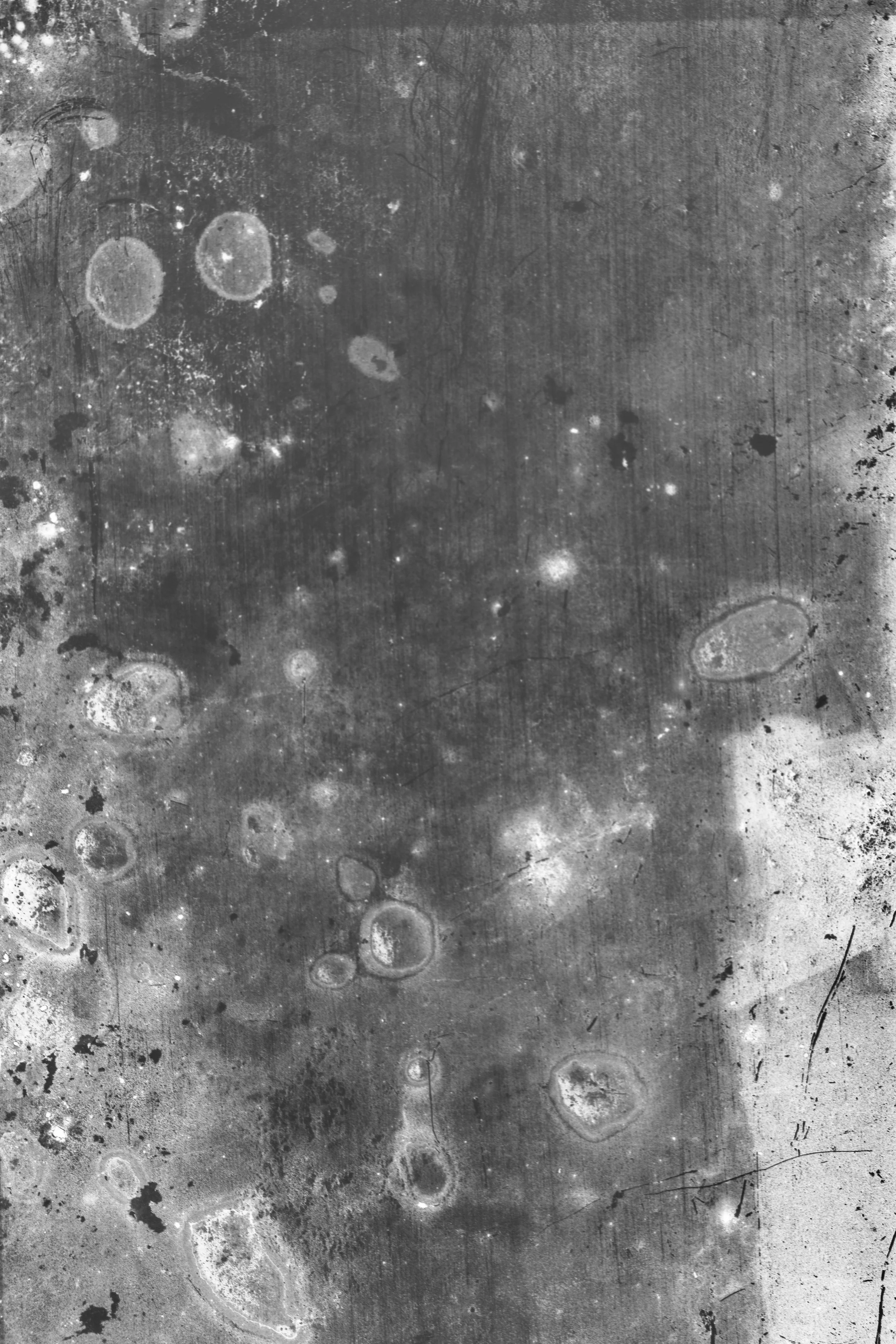 Kopija datoteke DSCF4303.jpg