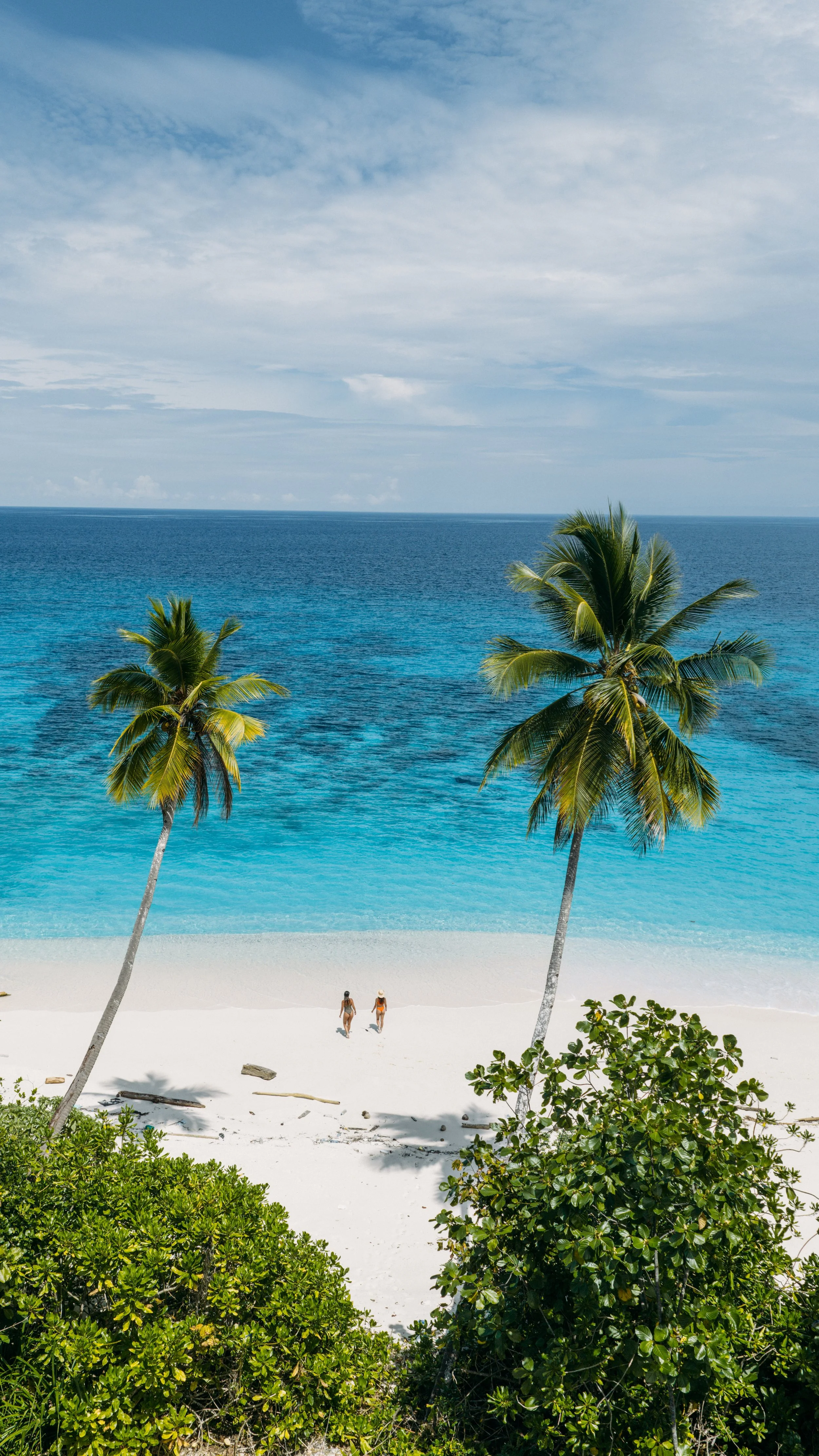 Sulawesi