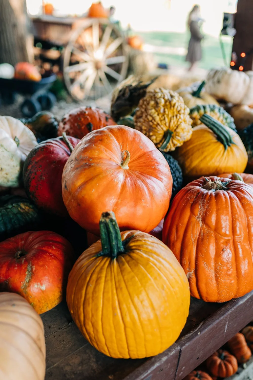 Various colorful pumpkins and gourds on display at a farm stand, with a blurred background including a person and autumn decorations.