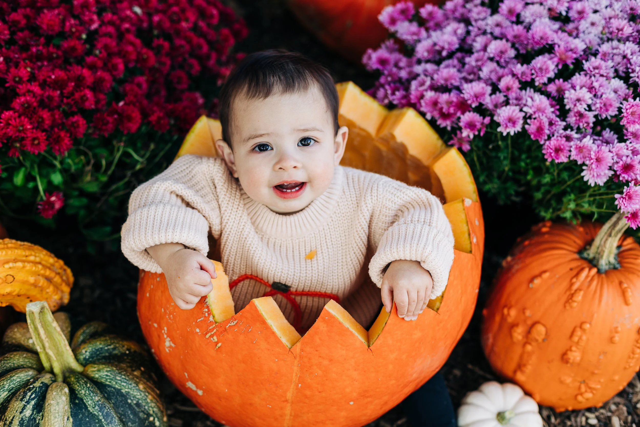 A young child sitting inside a carved pumpkin surrounded by various pumpkins and pink and purple flowers.