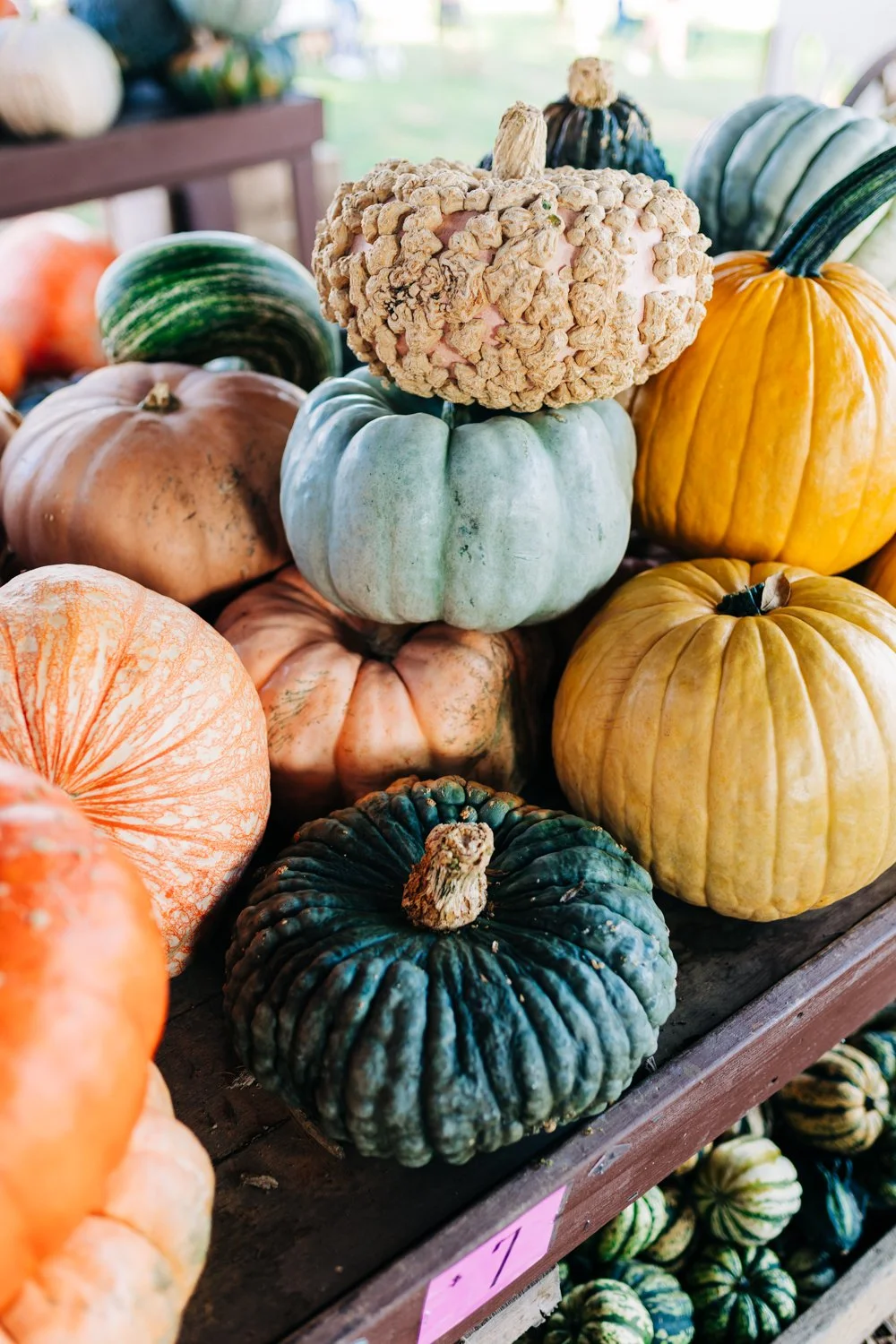 Variety of pumpkins and gourds displayed on a wooden table at a farm or market, including green, orange, yellow, and dark green pumpkins with different textures.
