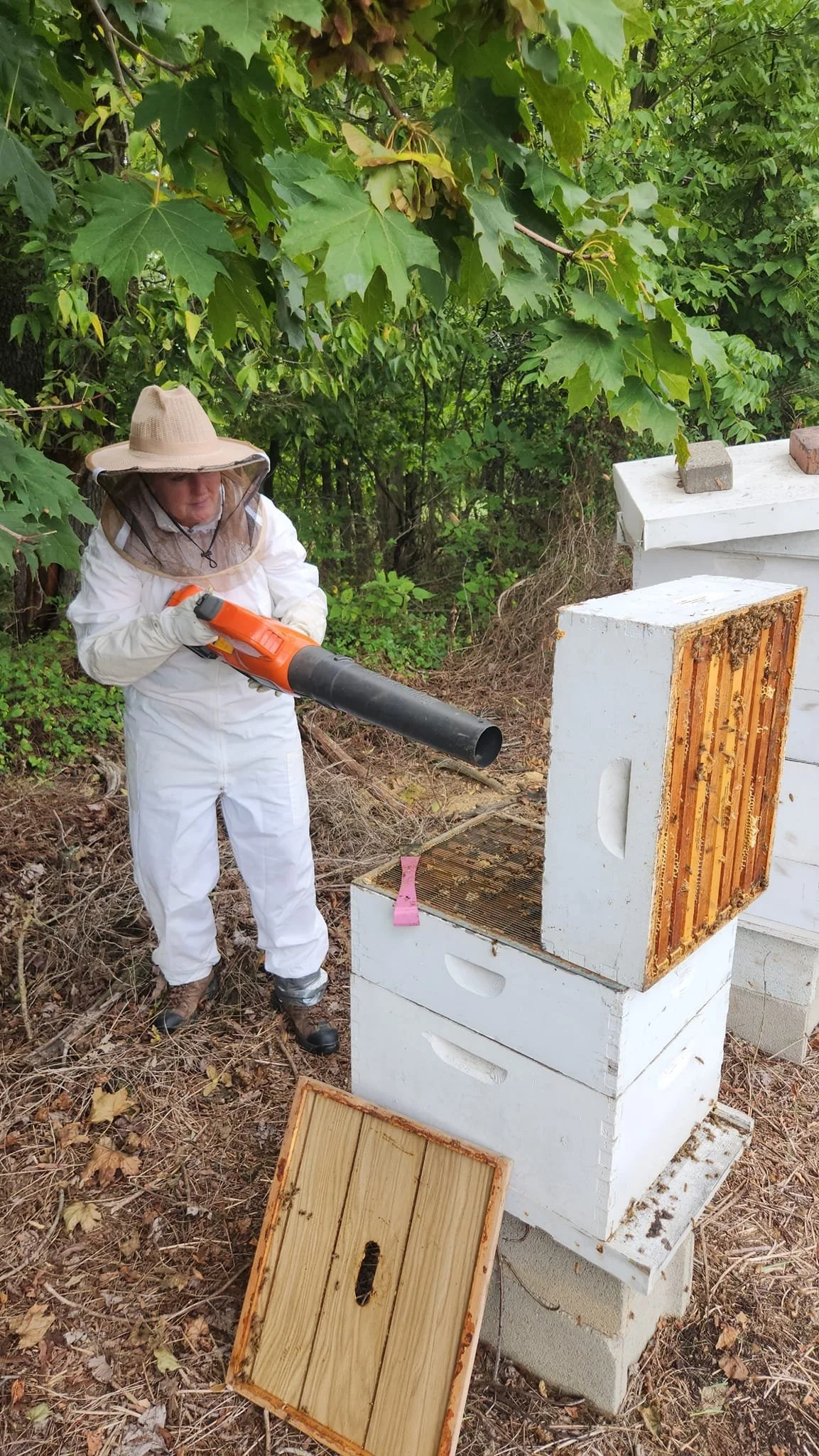A person dressed in white beekeeping suit using a leaf blower to clear the hive or surrounding area near a white beehive box, with a wooden cover on the ground nearby, in a wooded area.