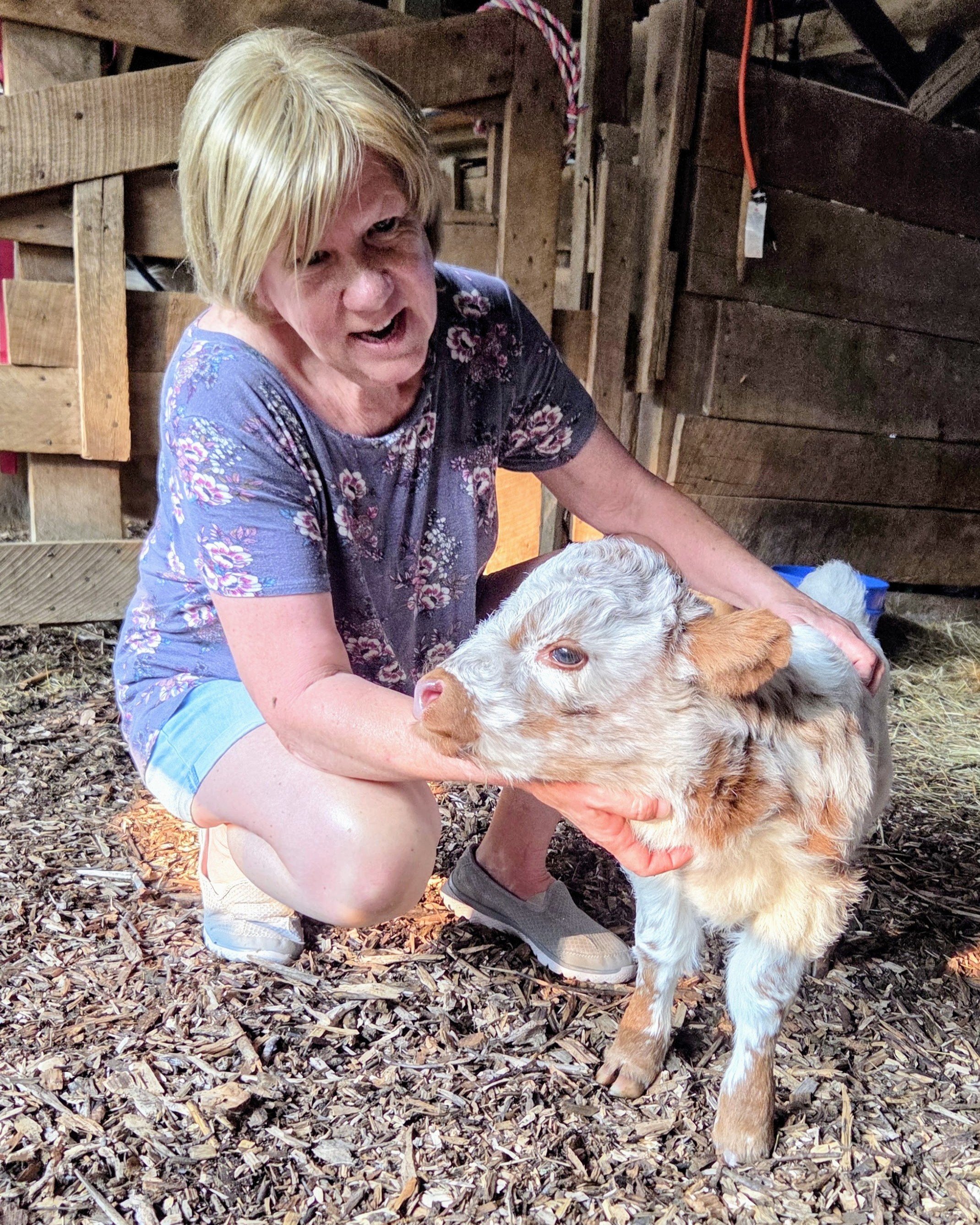 Woman cuddle calf
