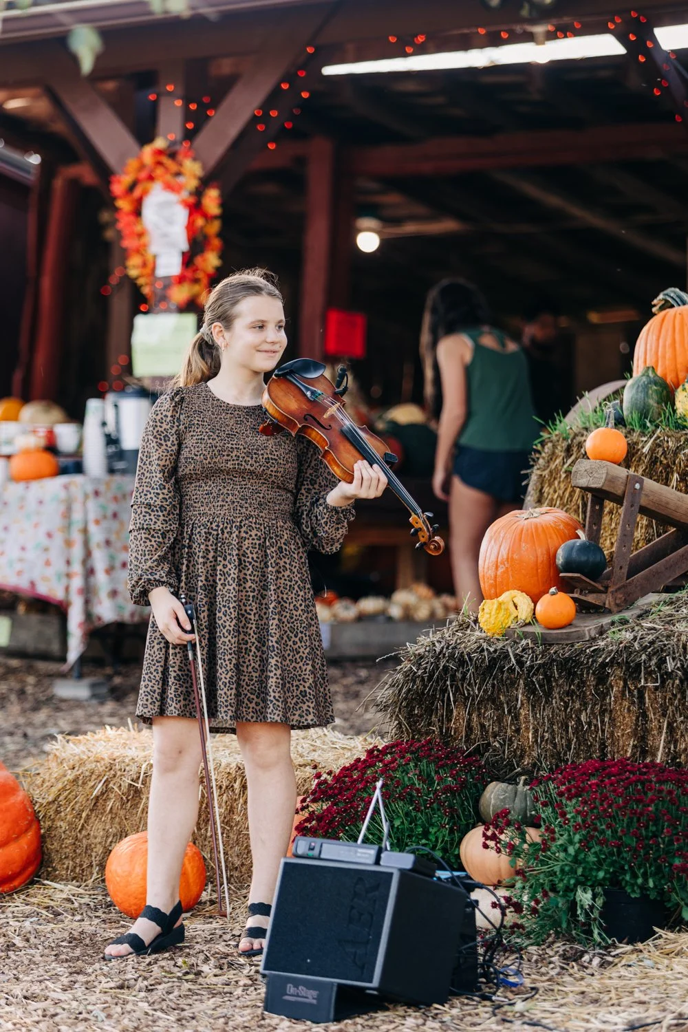 MyersPumpkins24-112.jpg