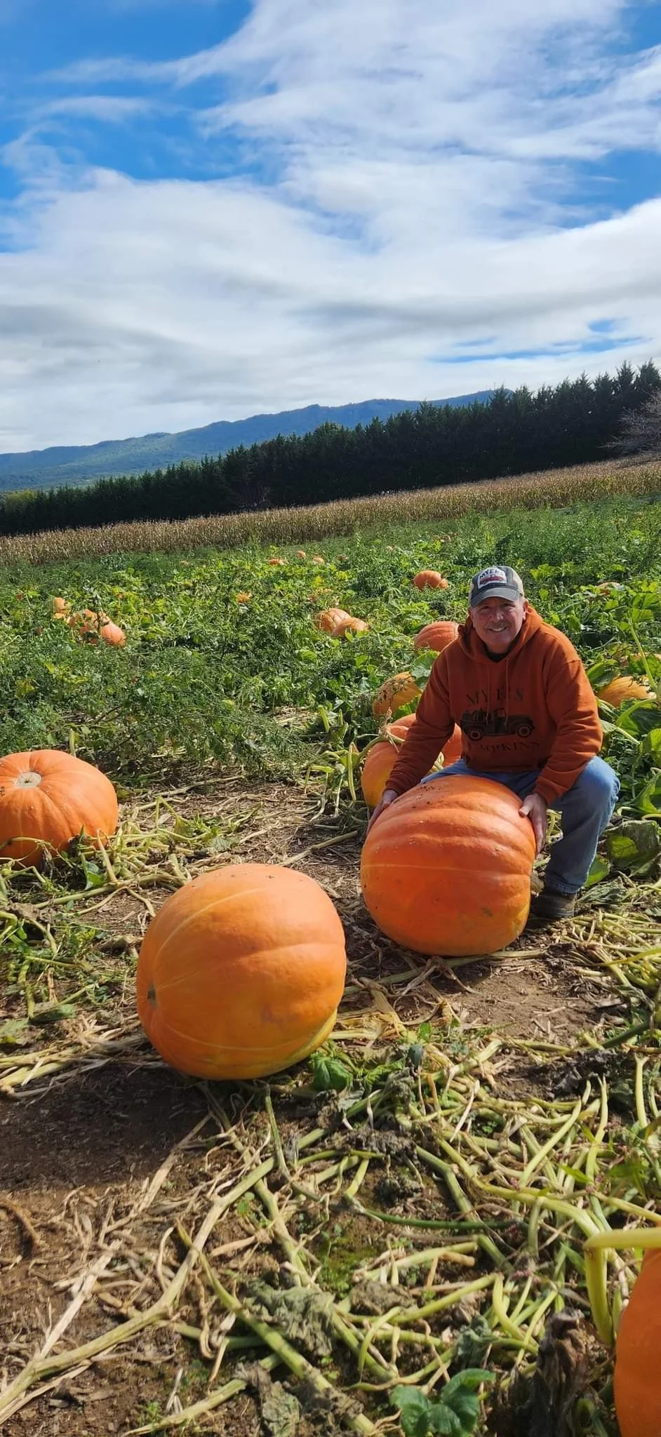 A man kneeling next to a large pumpkin in a pumpkin patch with more pumpkins around him, green fields, trees, and mountains in the background under a partly cloudy sky.