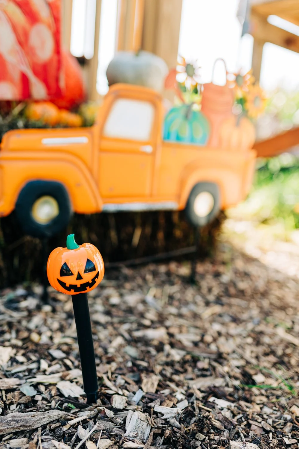 MyersPumpkins24-69.jpg