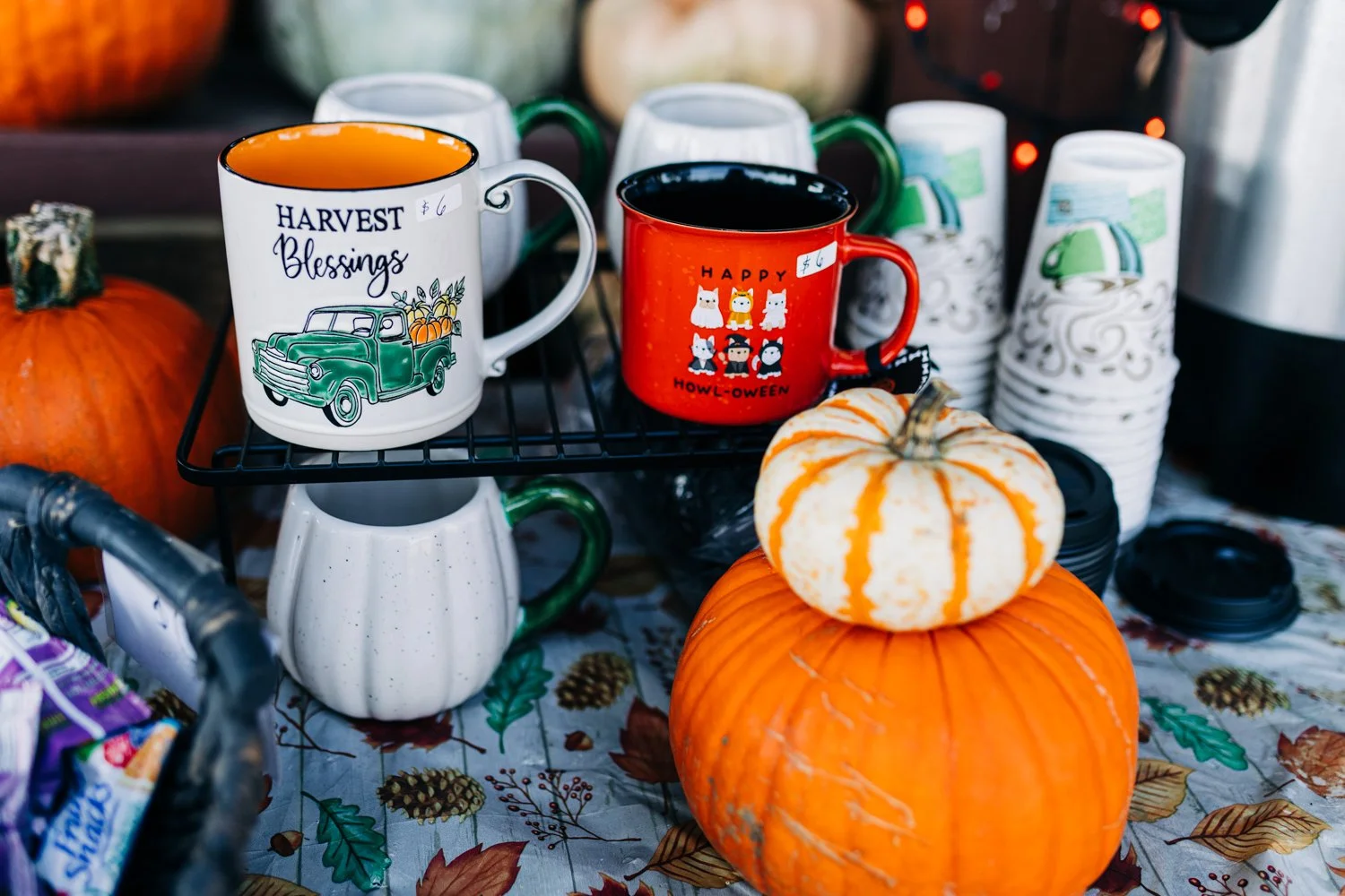 MyersPumpkins24-44.jpg