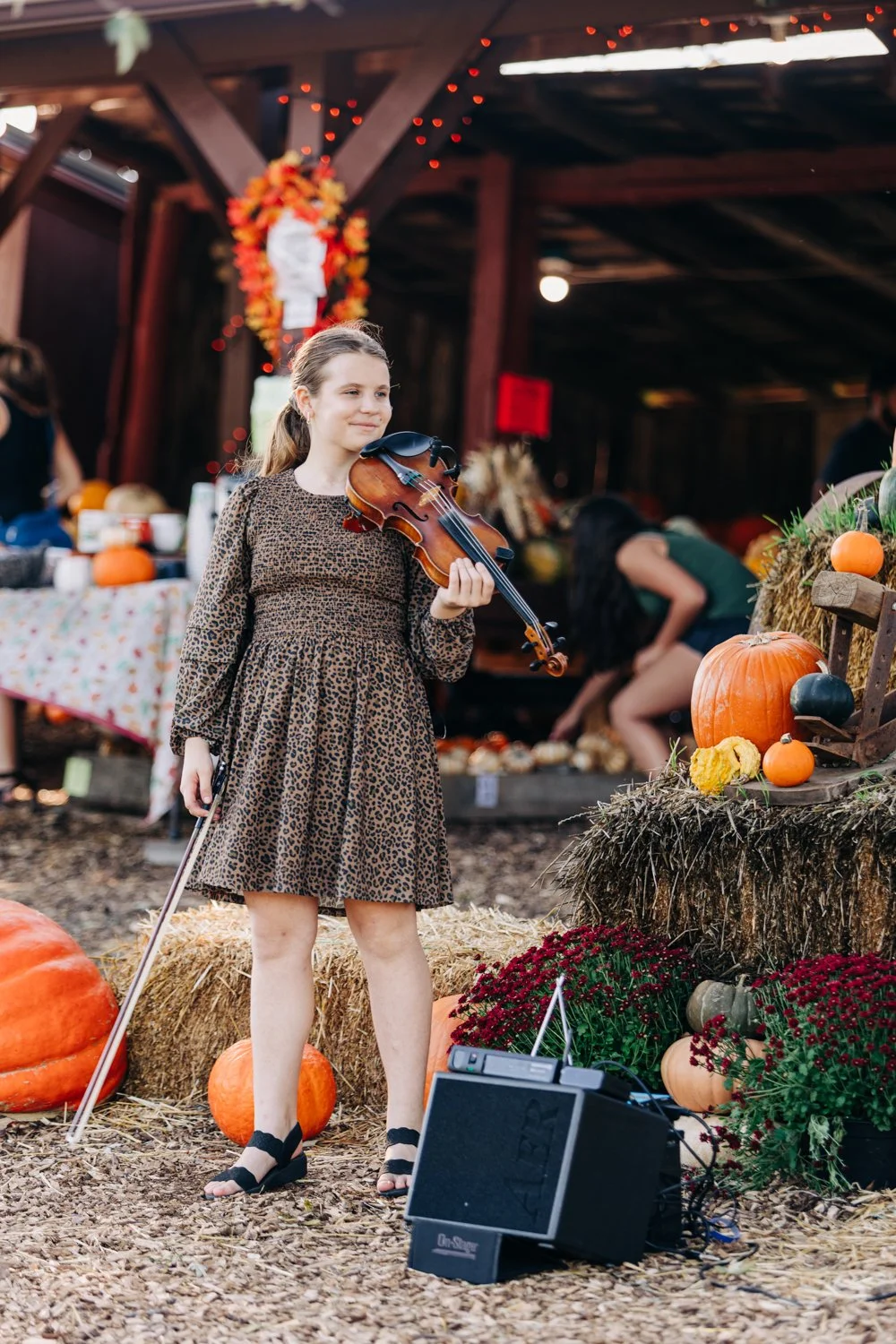 MyersPumpkins24-113.jpg
