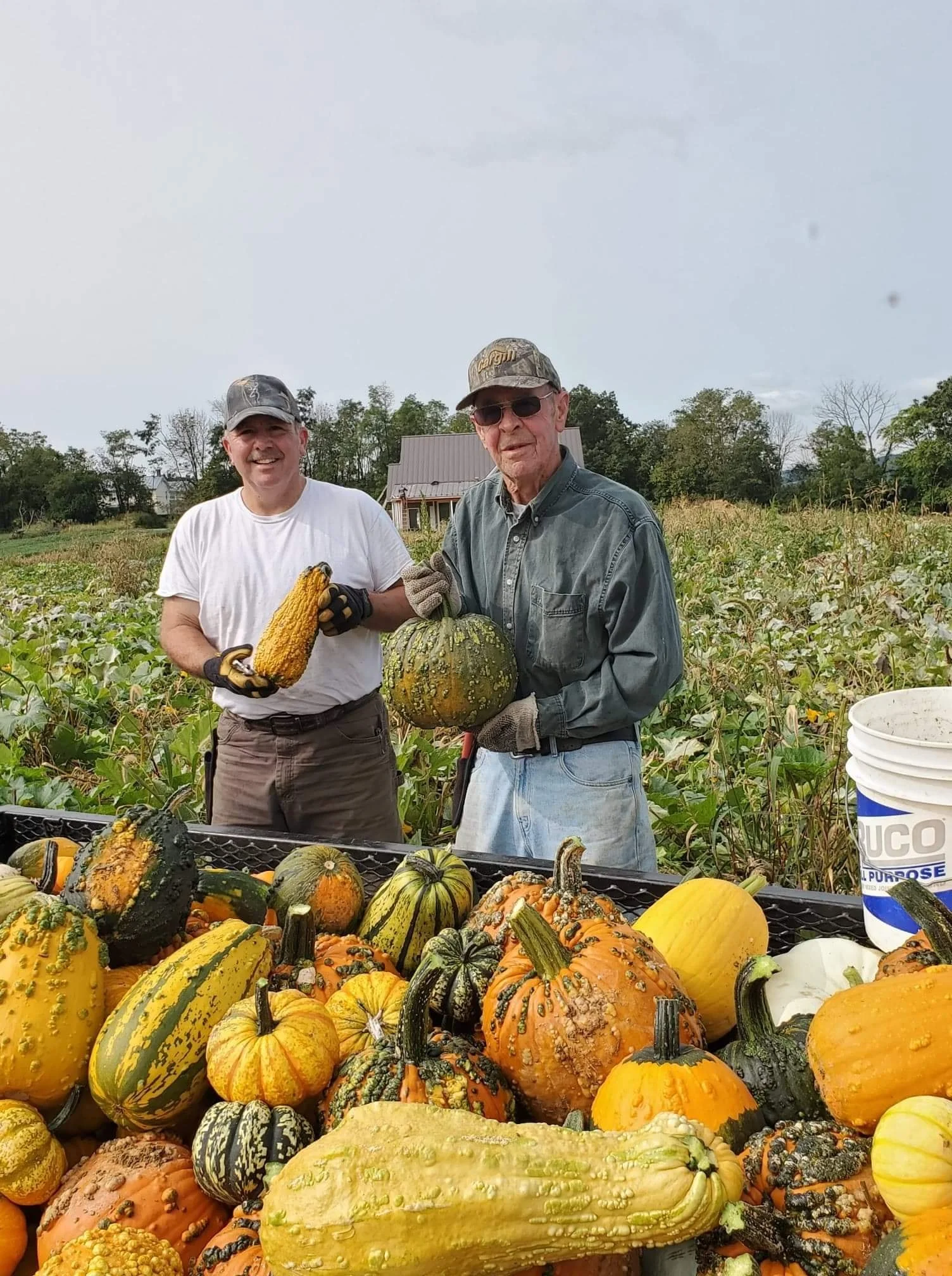 Two men standing outdoors in a pumpkin patch, holding various gourds and pumpkins, with lots of pumpkins and gourds on a table in front of them.