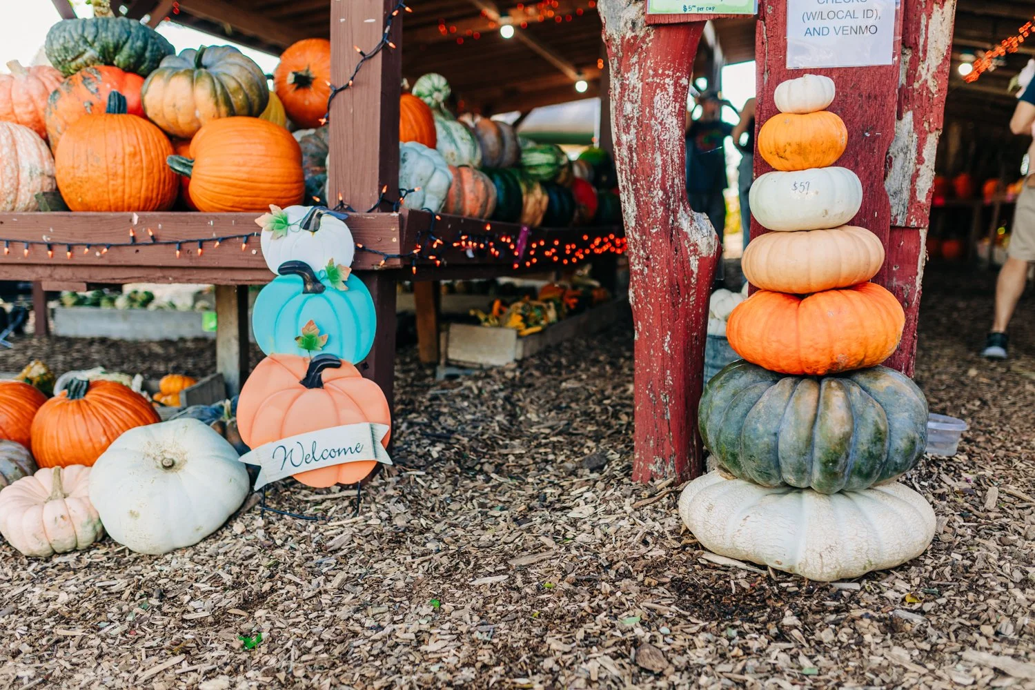 Stacked pumpkins of different colors and sizes near a wooden market stall decorated with string lights, with additional pumpkins and decorative signs on the ground.
