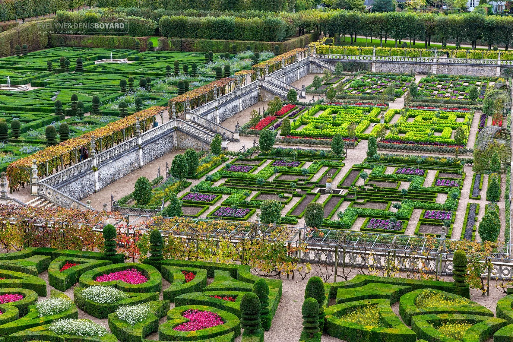 Le jardin de Villandry, avec son potager décoratif (Indre-et-Loire).