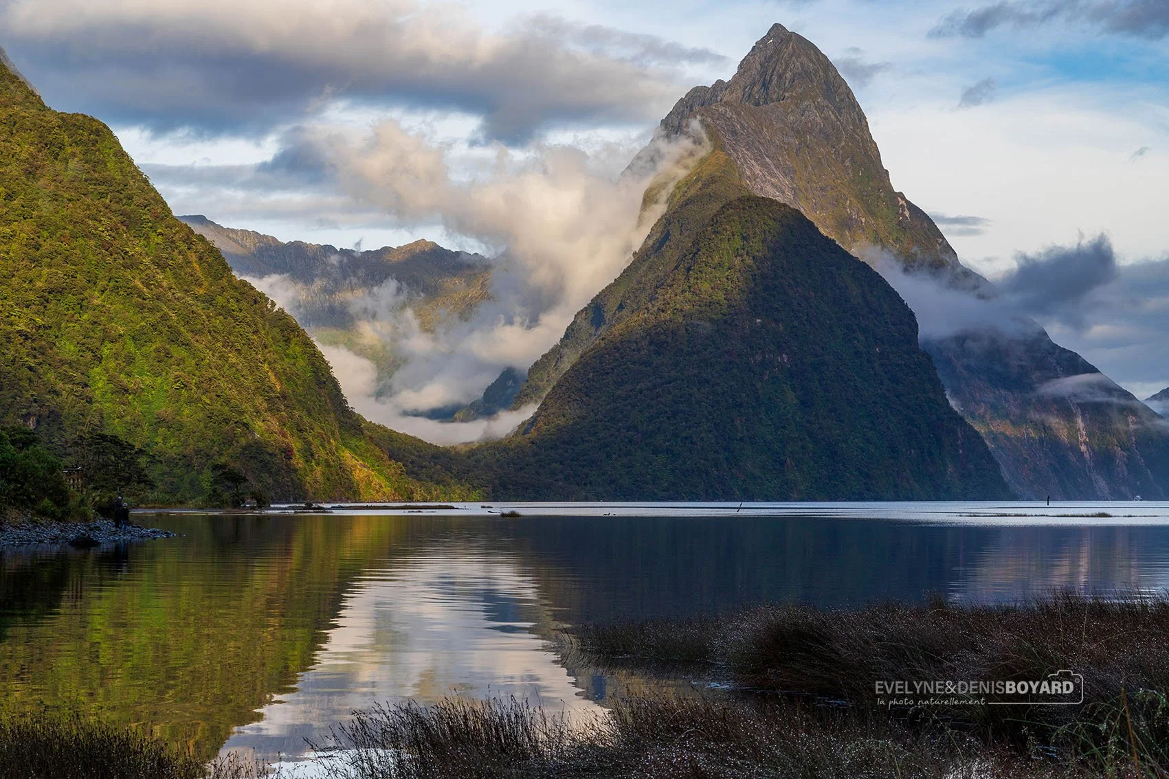 Milford sound, le célèbre fjord dans le parc du Fjorland.